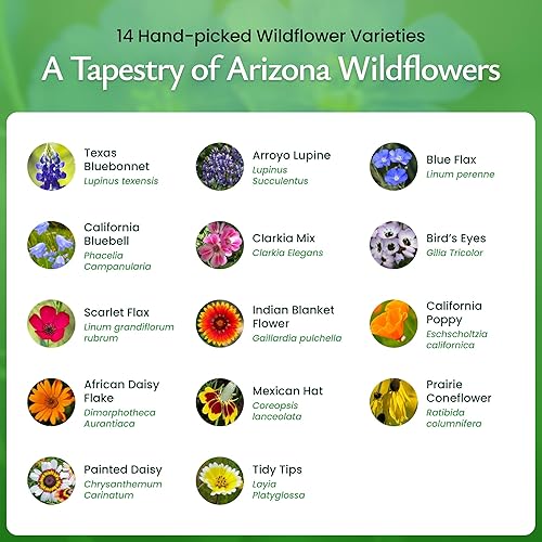 Miniatura 3 de Created By Nature Mezcla de semillas de flores silvestres de Arizona con semillas de amapola y altramuz, 14 variedades de flores, más de 30,000