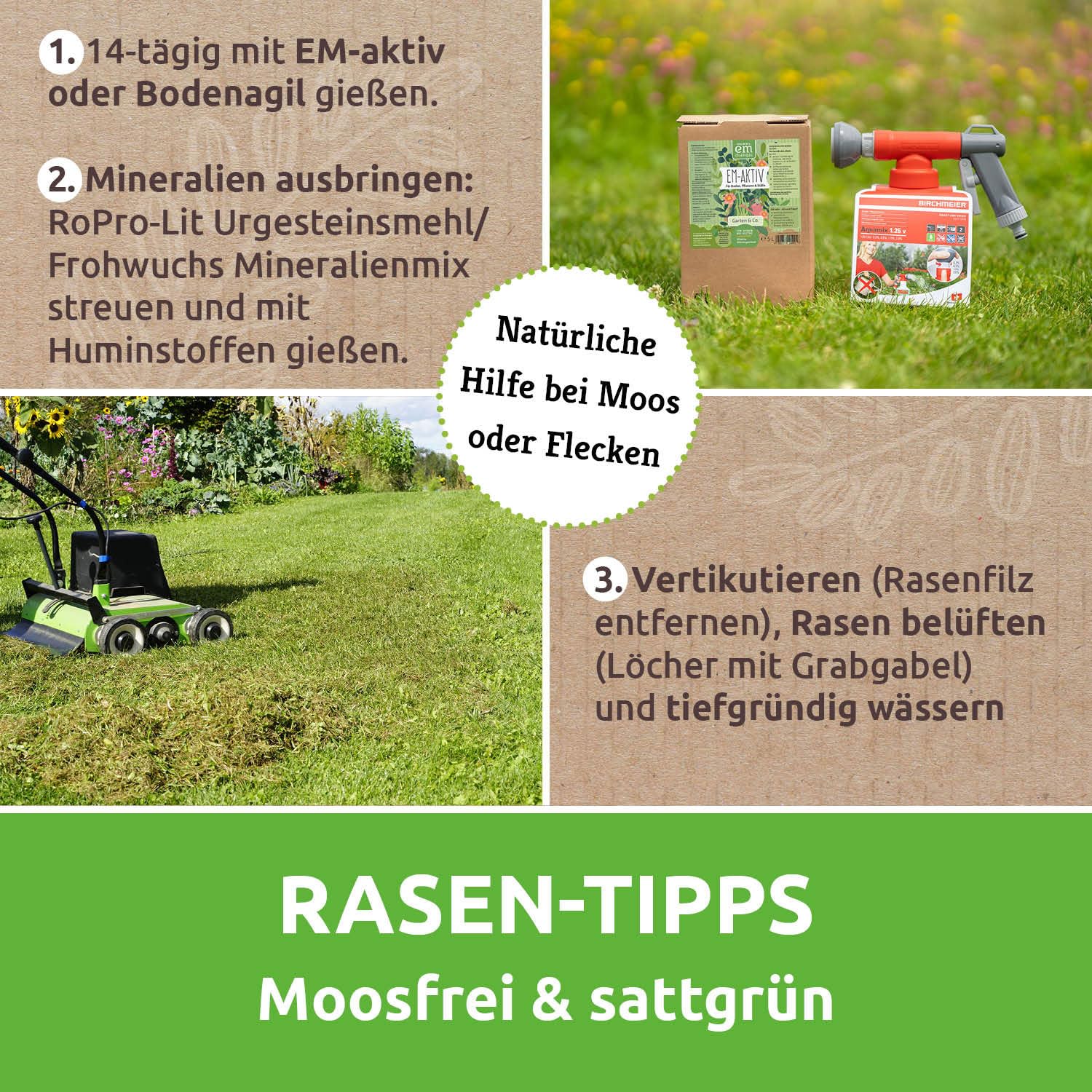 EM-Chiemgau® Rasen-Rainer – Organischer Bio Rasendünger mit Mykorrhiza & Pflanzenkohle – Langzeitdünger für dichten, grünen Rasen – Bodenaktivator mit Effektiven Mikroorganismen – 7 kg