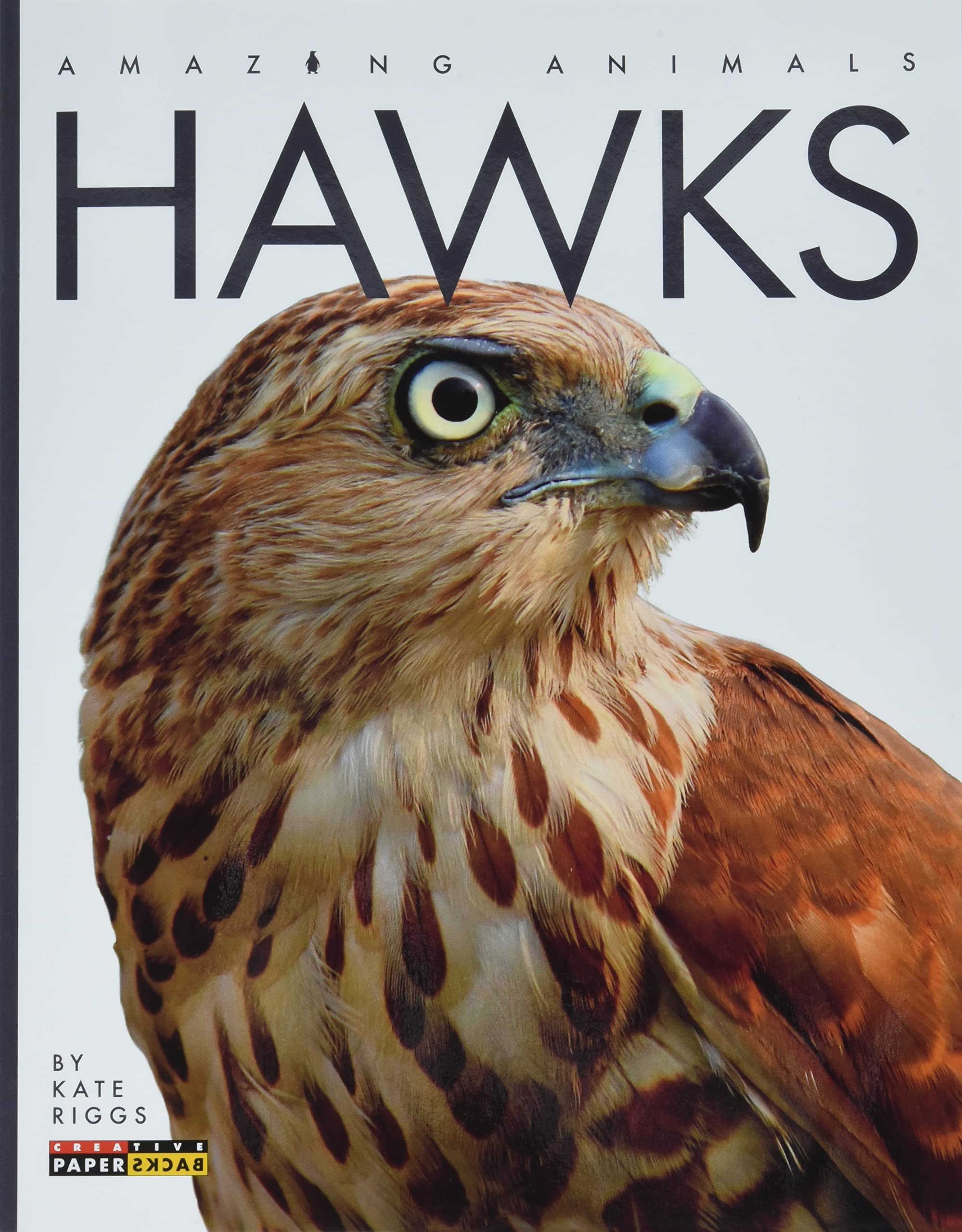 Hawks (Amazing Animals)