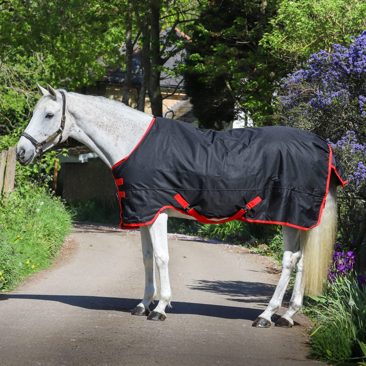 GS Equestrian 600D 100g Fill Standard Neck Waterproof Winter Turnout Rug GSE400 All Life Stages (6'3, Black/Red)