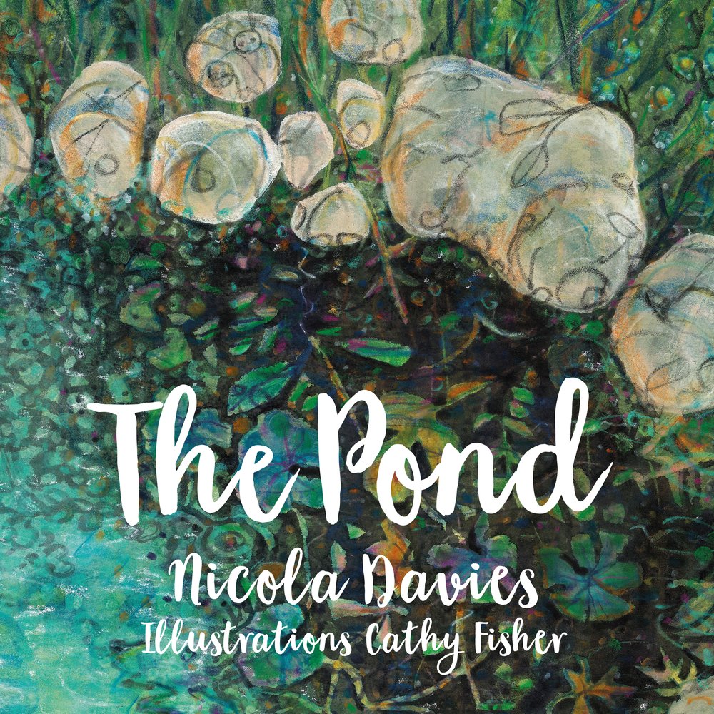 The Pond,Nicola Davies,Cathy Fisher,Cathy Fisher