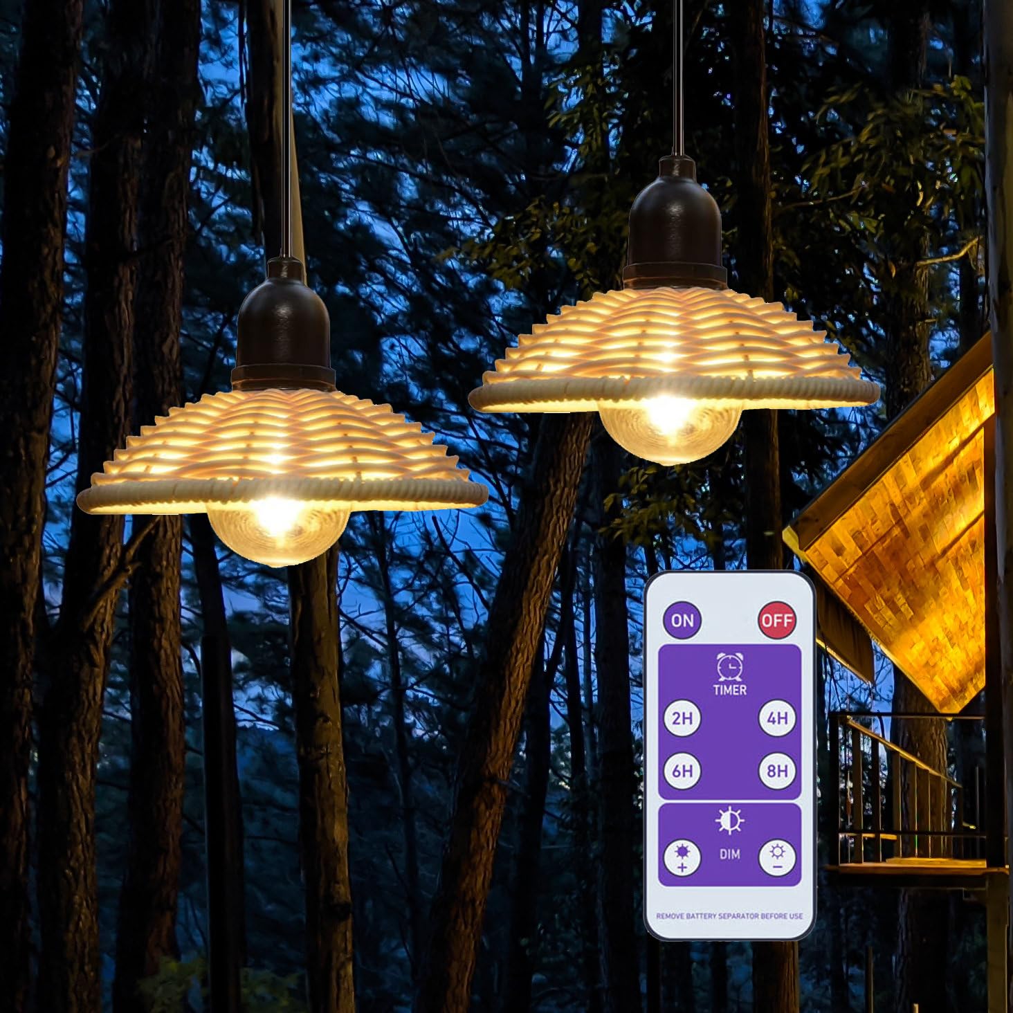 EcoGehen Batteriebetriebene Hängelampe 2er Set - Rattan Pendelleuchte Mit Fernbedienung