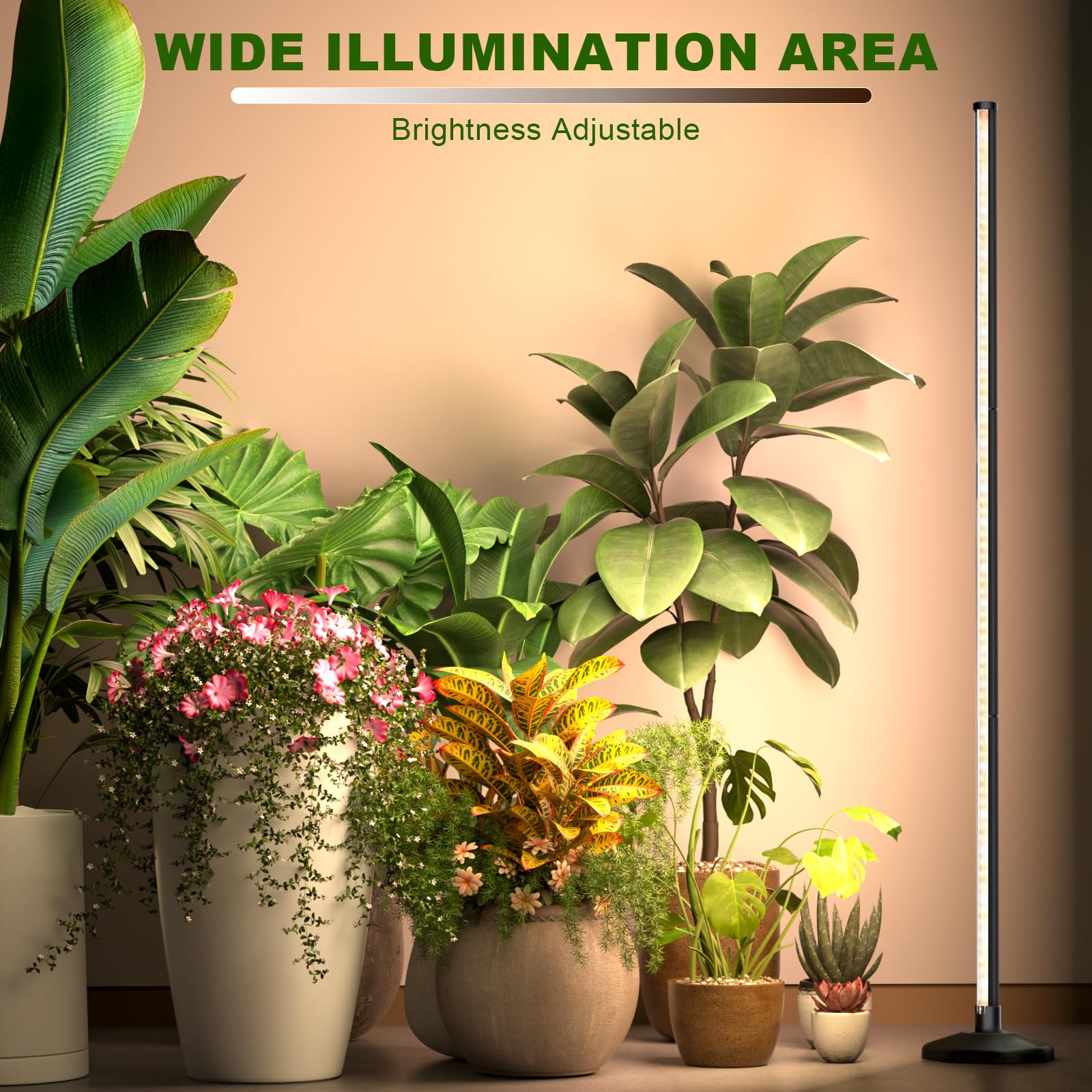 bedee Lampada a LED Piante D'appartamento: Luce Per Piante a Spettro Completo da 6000K per la Germinazione con Timer E Lampada Regolabile Su 10 Livelli Per Serra Con Accessori Per Appenderla