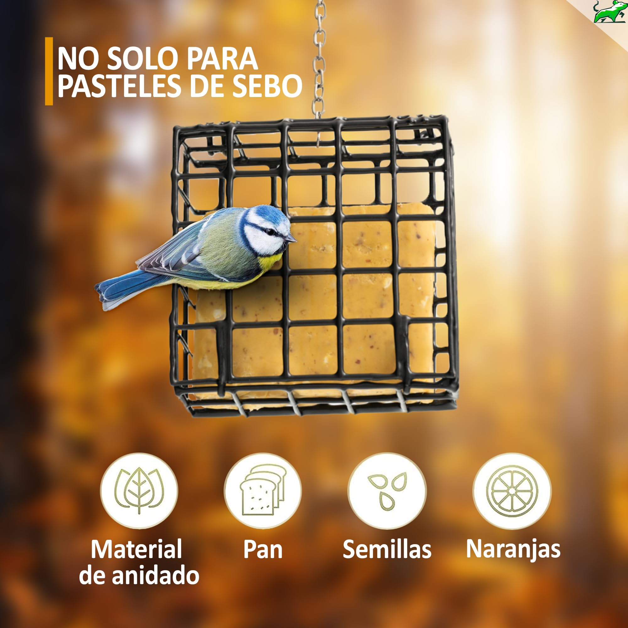 Mice&Co Comedero para Aves Colgante Exterior, con 4 Pasteles de Sebo | Atrae Aves a tu Jardín Todo el Año, Fácil de Colgar y Rellenar, Resistente y Duradero, Ideal para Regalar
