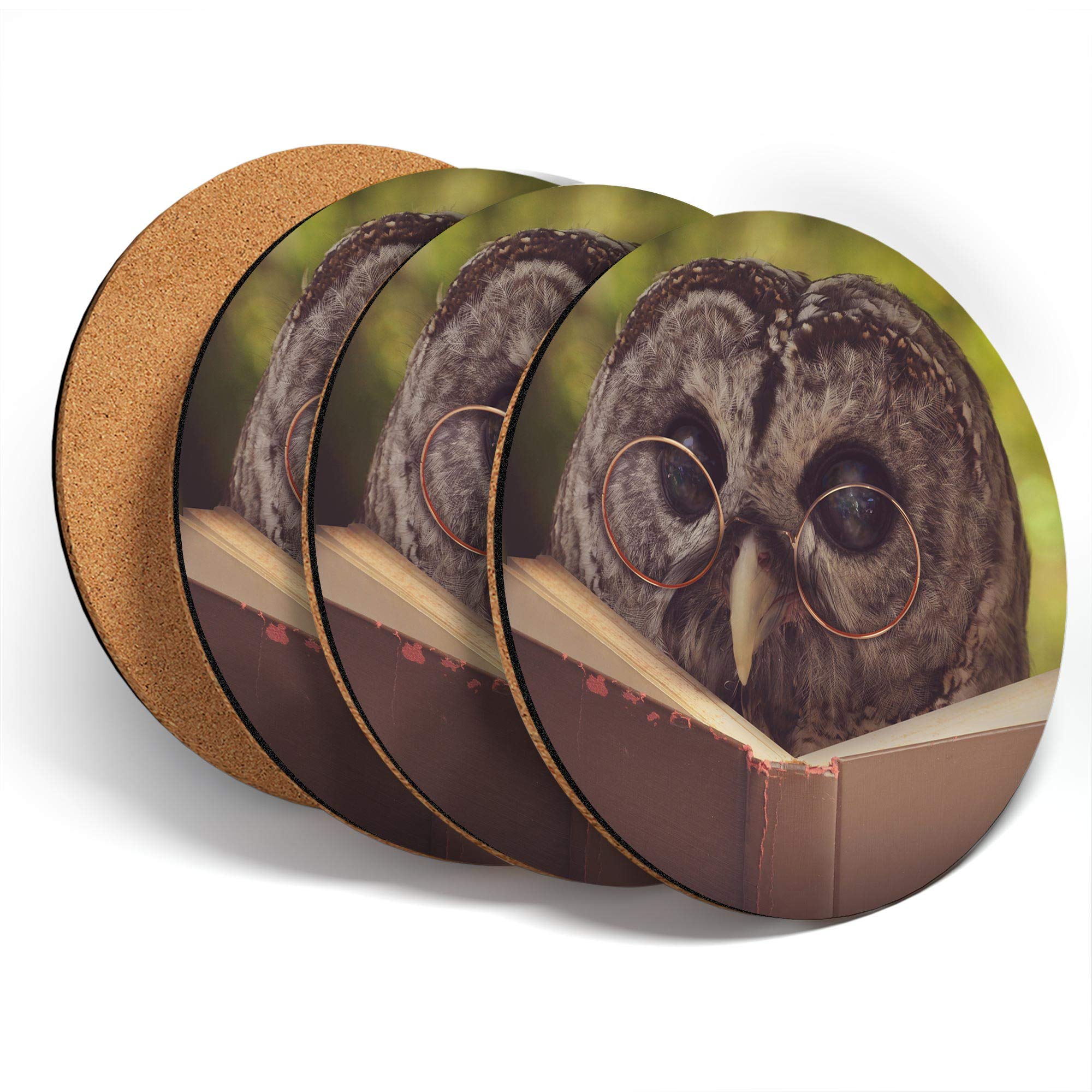 Destination Vinyl Ltd Great Coasters (Set of 4) Round - Wise Barn Owl Reading Book Lover Drink Glossy Coasters/Tabletop Protection for Any Table Type #46462