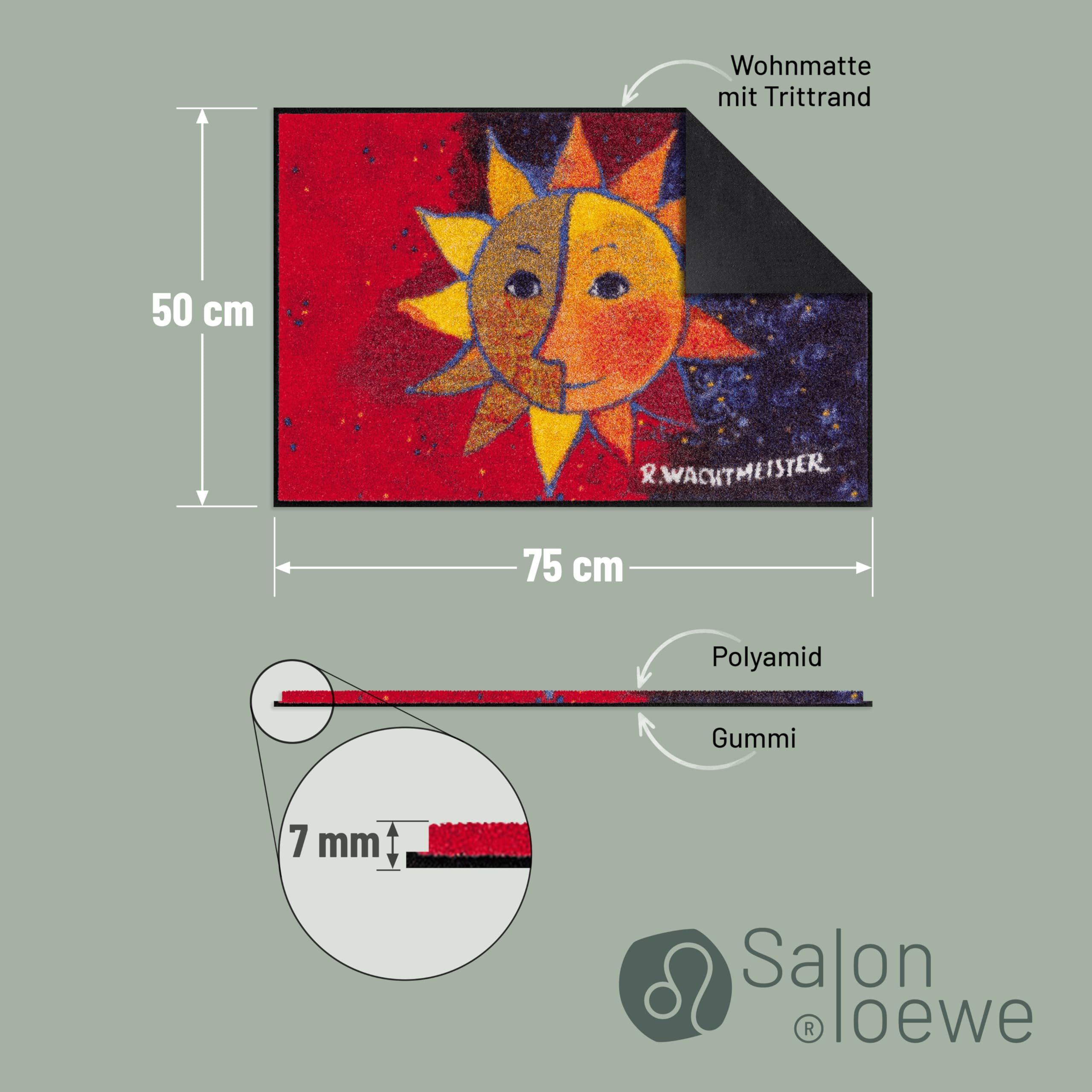 Salonloewe Fussmatte Sole Nuovo I Schmutzfangmatte & Fußabtreter für Innen 50 x 75 cm