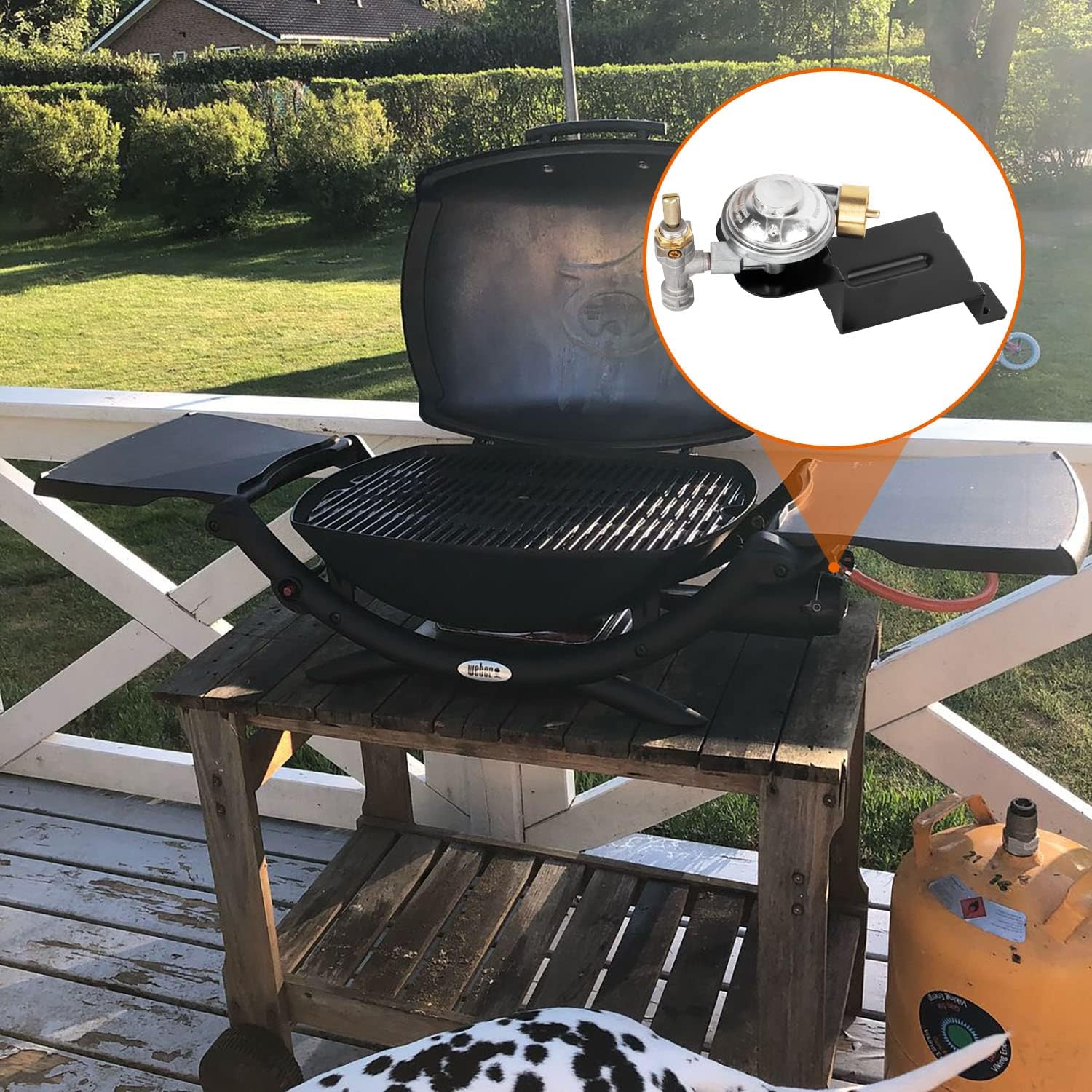 DELSbbq 7582 Cast Iron Cooking Grate with 60040 Grill Burner & 80477 Valve Regulator for Weber Q100 Q120