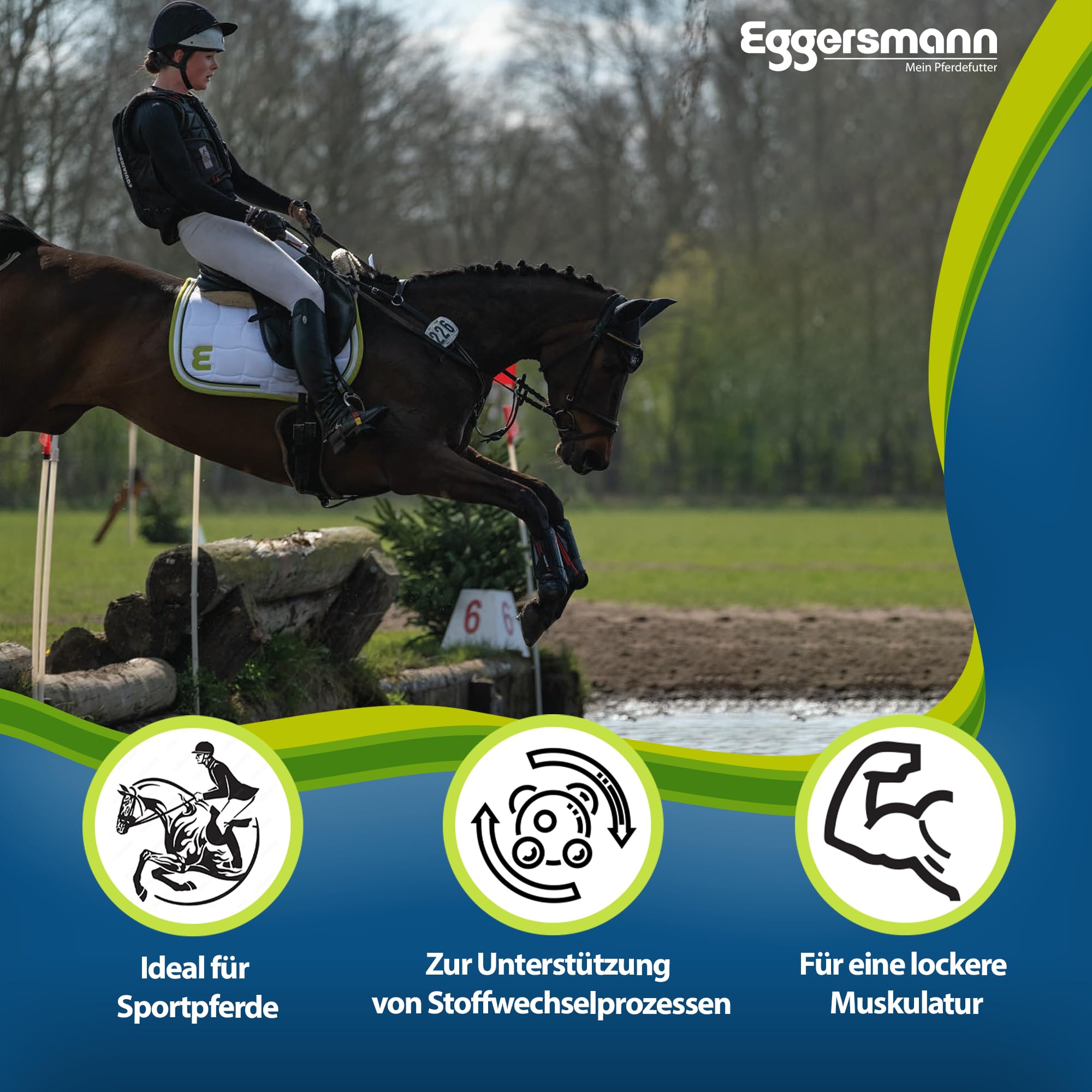 Eggersmann Mein Pferdefutter Profi Aminoral 20 kg Konzentrat mit essentiellen Aminosäuren Ergänzungsfuttermittel für Sportpferde
