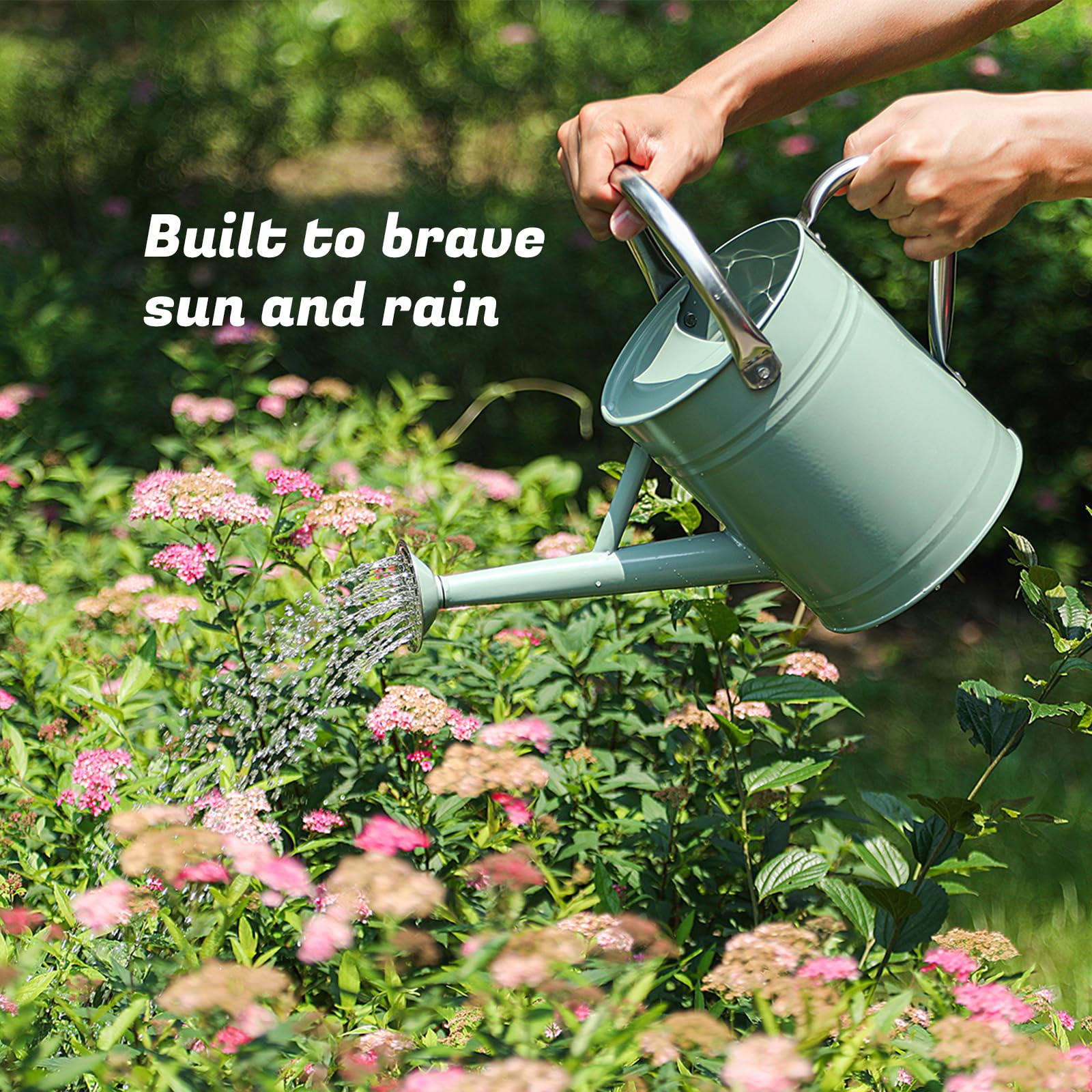 Annaffiatoio per piante da 1 gallone, annaffiatoio per giardinaggio interno ed esterno, vaso in acciaio zincato con beccuccio rimovibile, lattina in metallo con manico ergonomico mobile (verde crema)