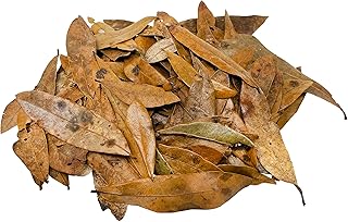 The Bio Dude Leaf Litter - Live Oak Litter - Great for bioactive terrariums, vivariums and Fish