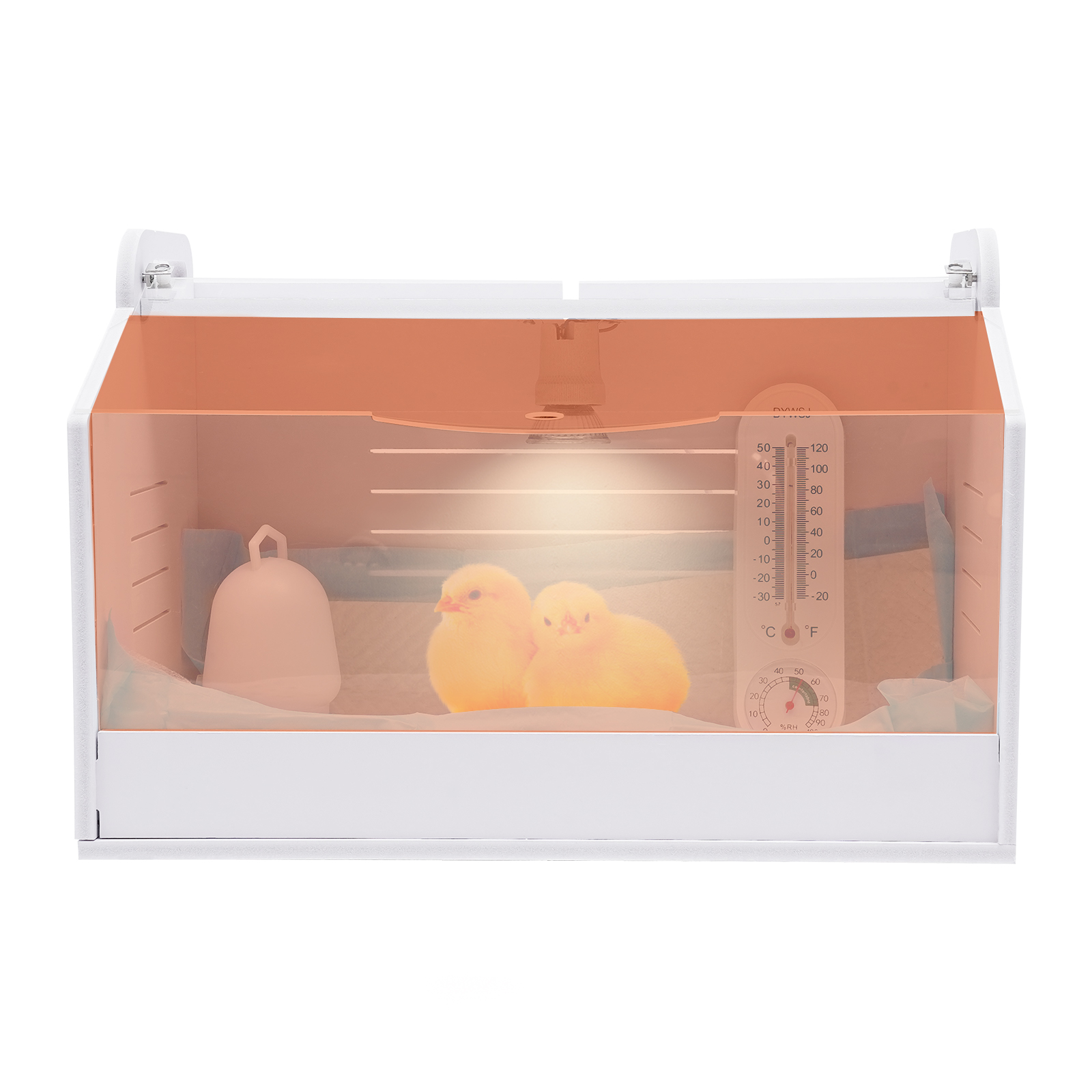 Boîte à couveuse à poussin, boîte à couvée de poulet | Boîte