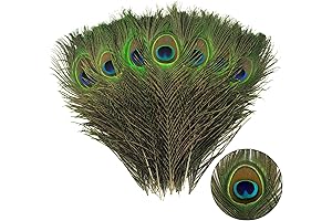 Peacock Decorations: 12 Pcs Natural Peacock Feathers for a Party