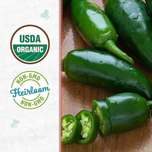 Miniatura 2 de Back to the Roots Paquete de semillas de pimienta jalapeño orgánica, cultivadas en EE. UU