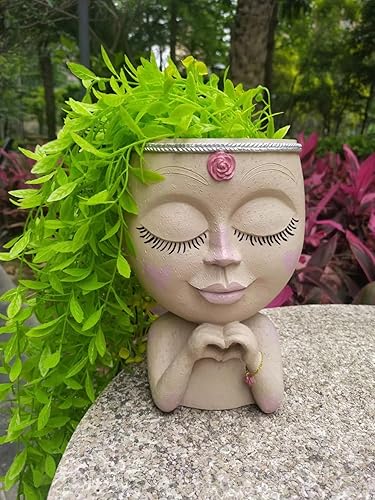 Miniatura 5 de Macetas para suculentas, macetero con cabeza para plantas de interior, macetas para plantas de interior, macetas para suculentas