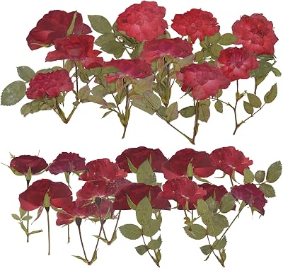 Pressed Rose, 24PCS Natural Rose for Resin Scrapbook Candle Soap Making, Red