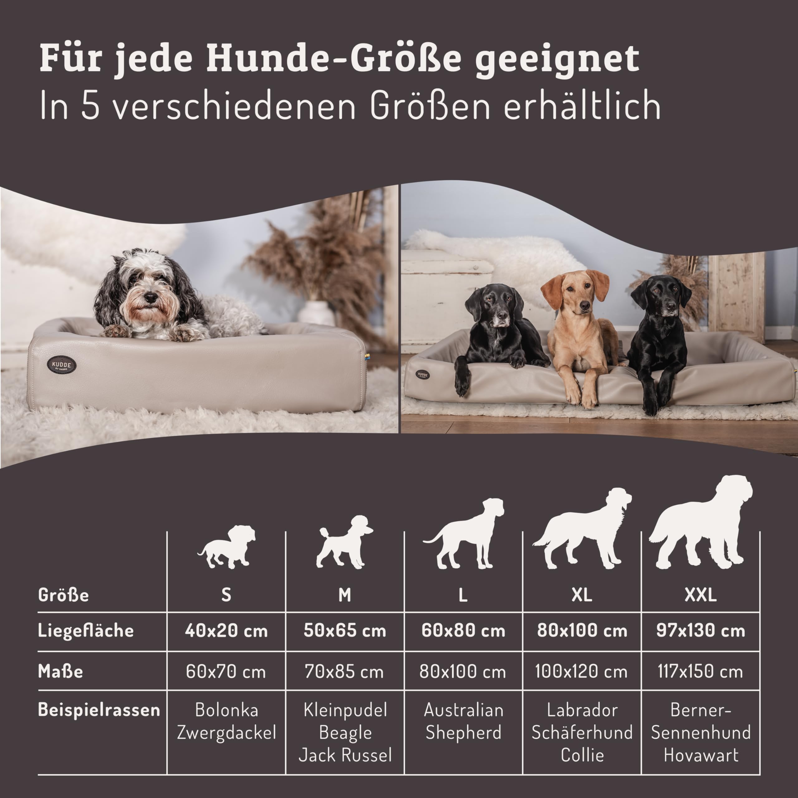 SABRO KUDDE Orthopädisches Hundebett – Martin Rütter – Hochwertiges Kunstleder – Waschbar & Wasserabweisend – Ergonomisch – Premium Haustierzubehör für Mittelgrosse, Grosse Hunde in Beige