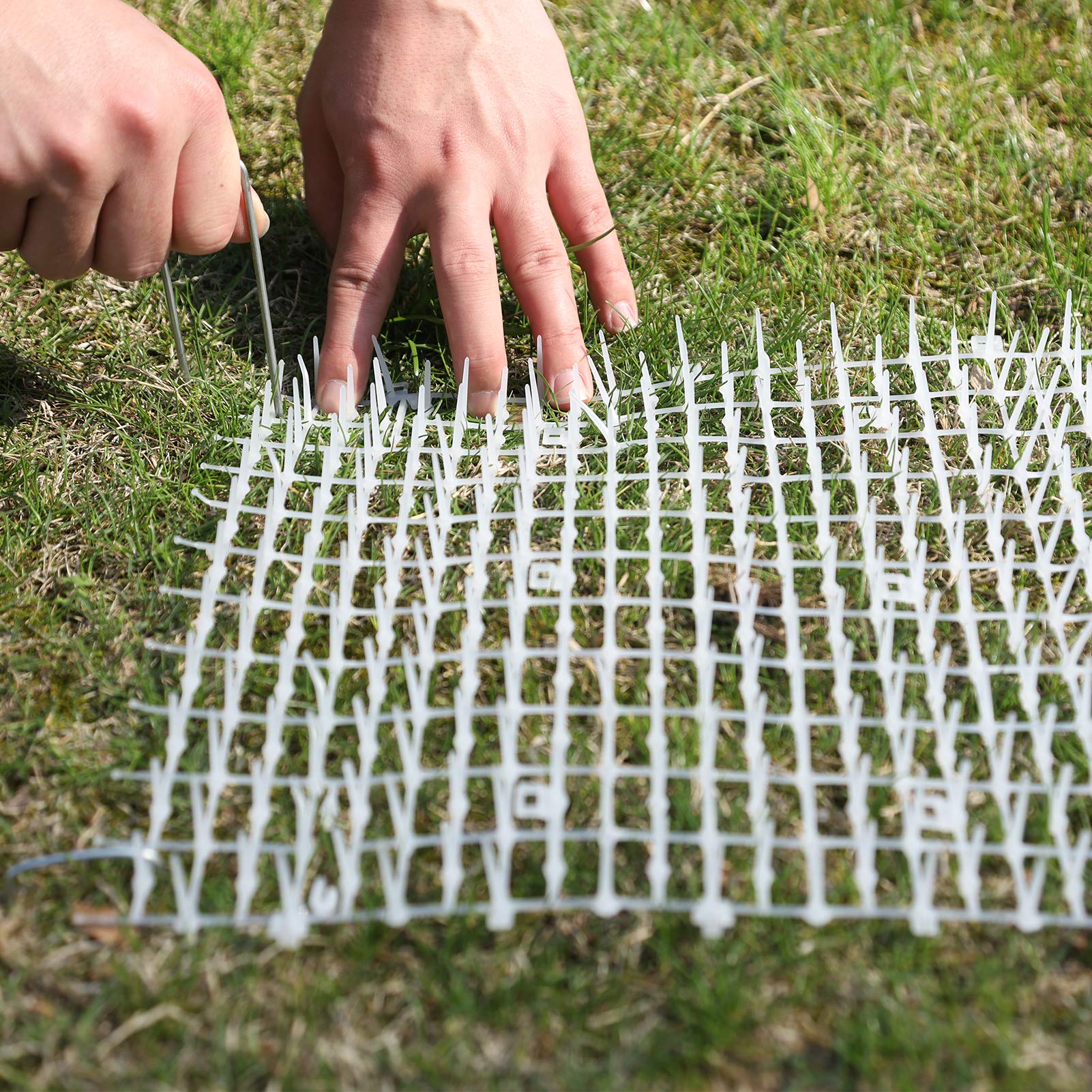 Buy Hmyomina 13ft Garden Cat Scat Spike Mat, AntiCats Network Digging