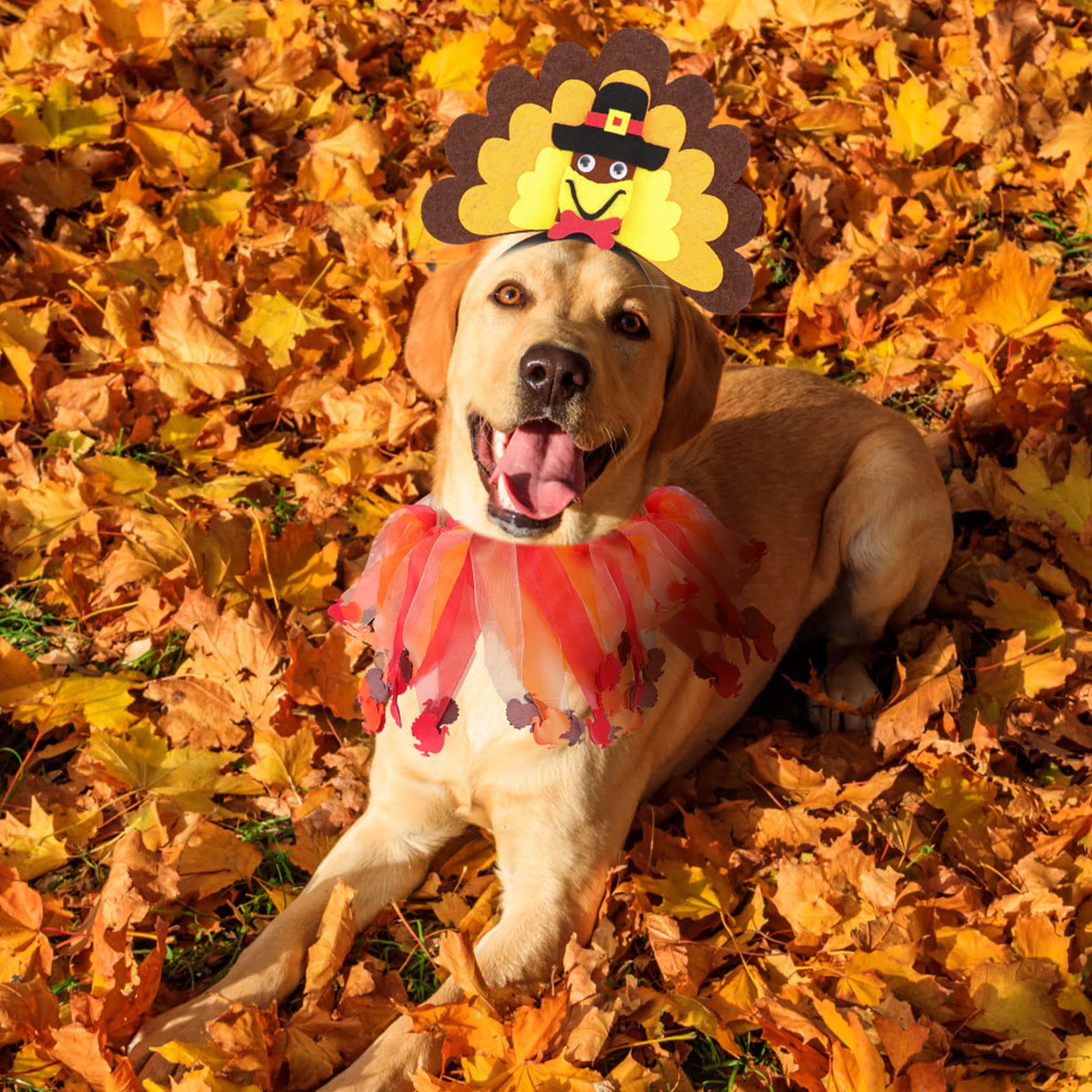 BWOGUE Dog Turkey Costume, Thanksgiving Headband with Elastic Pet Collar
