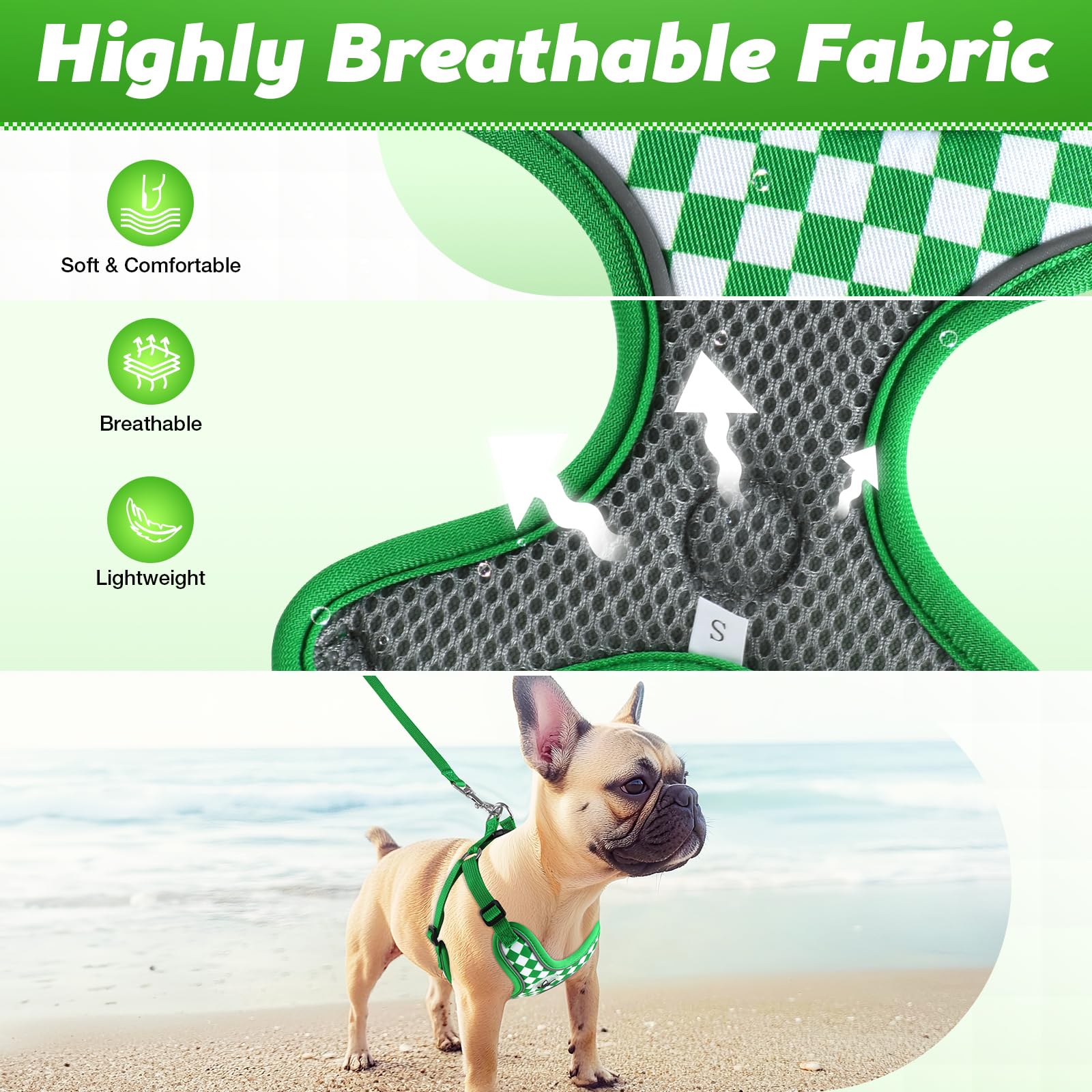 Pettorina Cane Taglia Piccola, Step-in Pettorina Anti-tiro per Cuccioli Gatti con Guinzaglio, Regolabile Riflettente Traspirante Imbracatura Cane Morbida per Passeggiate Corsa (Verde M)