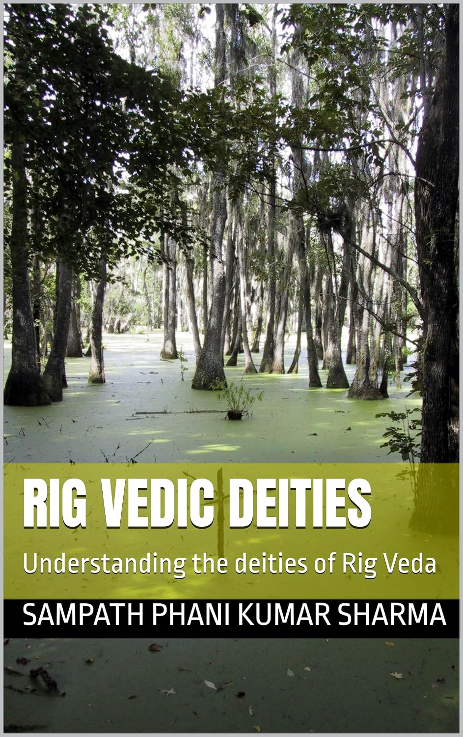 Rig Vedic Deities: Understanding the deities of Rig Veda (GJVP002V ...