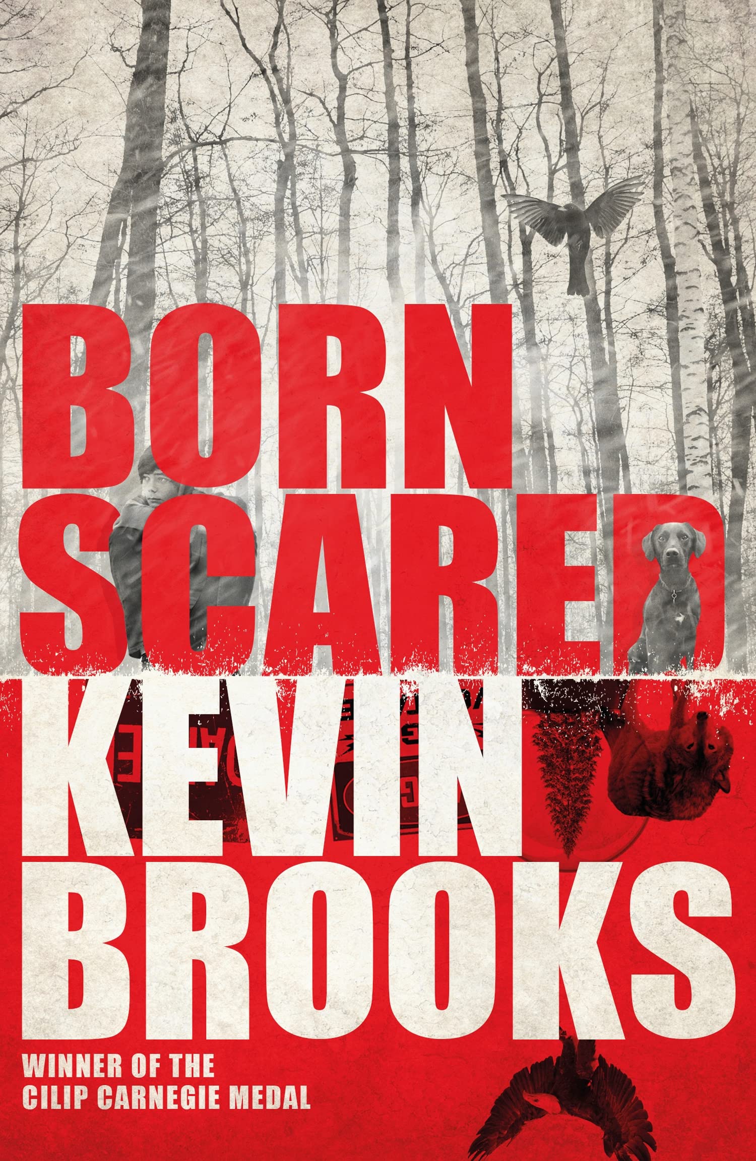 Born Scared: A Compelling Story for Teens About Overcoming Anxiety and Fear
