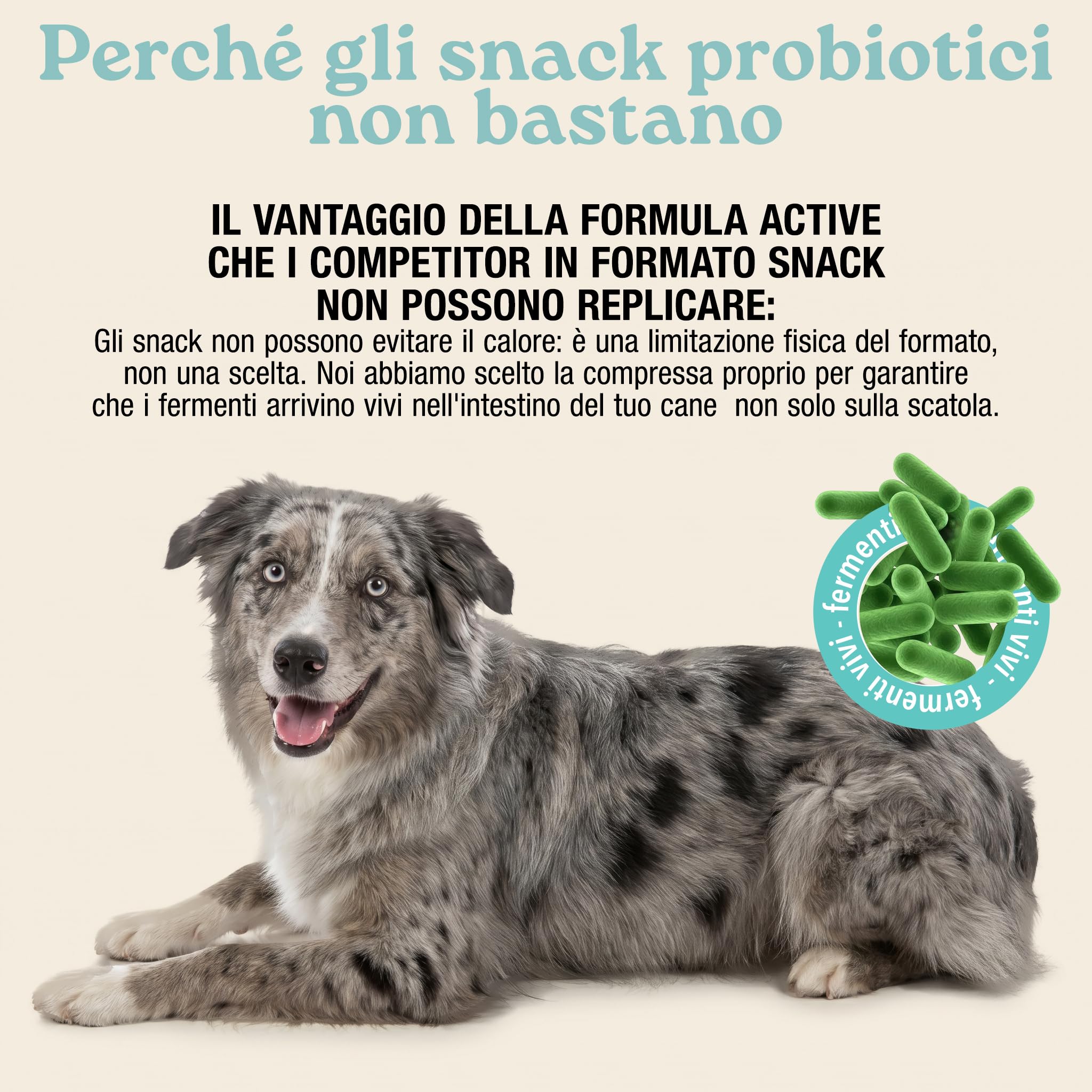 MyPetPrime Fermenti Lattici Cane ACTIVE 30 Cpr Probiotici Digestivi da 6,5 Miliardi con Inulina - Equilibrio Intestinale e Digestione, Ripristino della Flora Batterica, Riduzione di Prurito Cutaneo