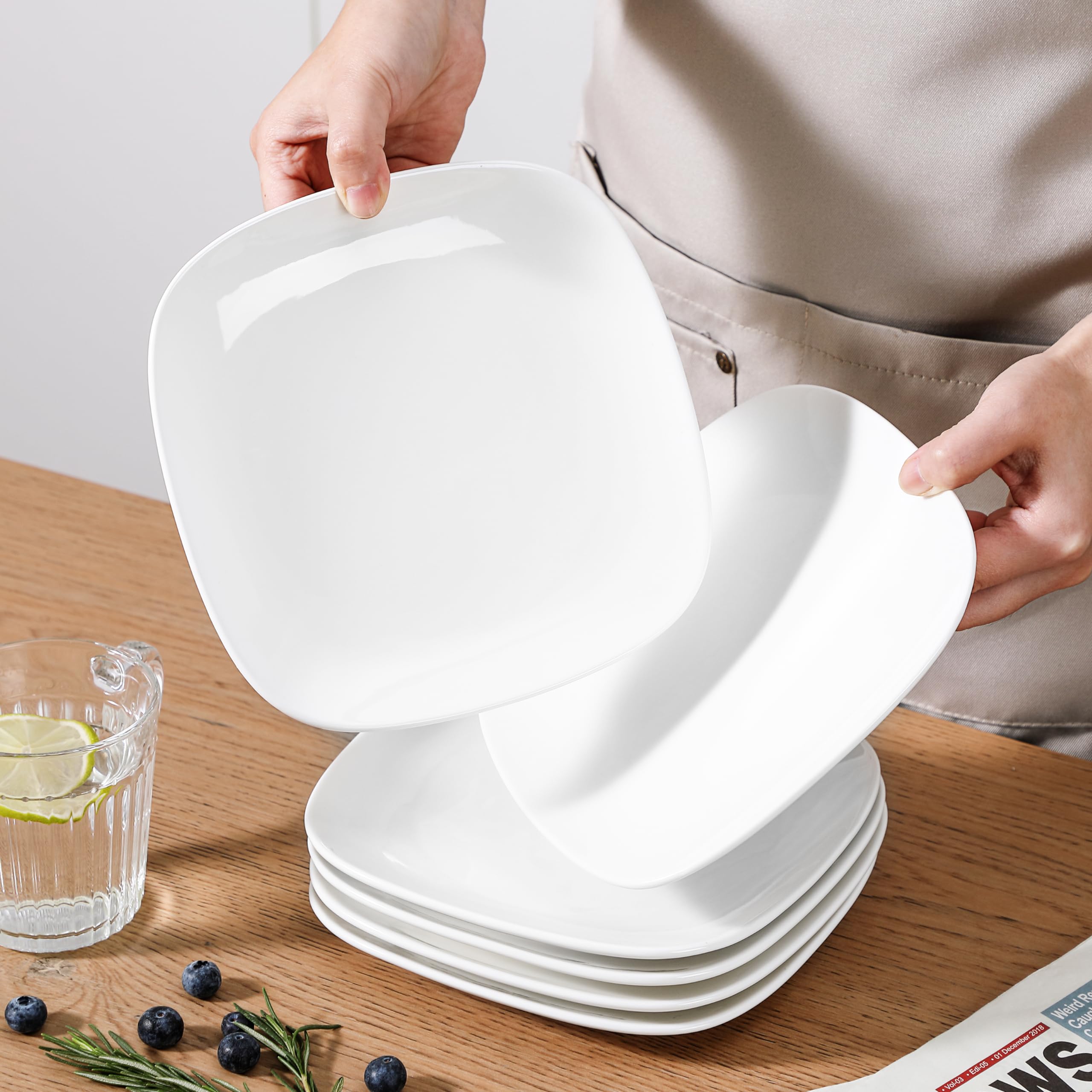 LOVECASA Witte Borden Set Van 6, 25 Cm Porseleinen Borden Krasbestendige Saladeborden