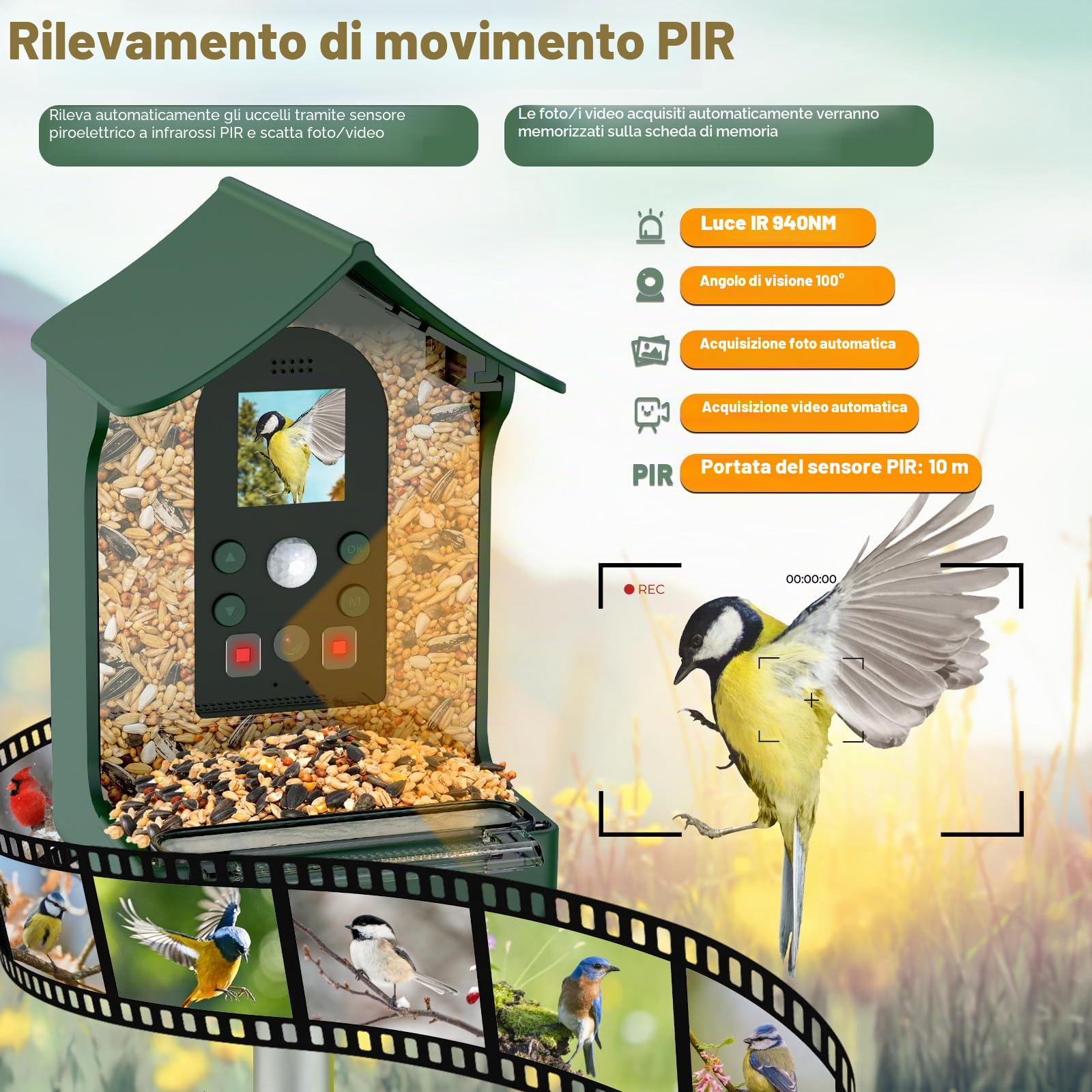 Mangiatoia per Uccelli con Telecamera, 1080P HD Mangiatoia per Uccellini da Esterno con Telecamera Notte e Giorno Automatico Foto e Video Giardino Mangiatoia Per Uccelli All'aperto - Verde