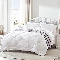 SLEEP ZONE Queen Down Alternative Comforter Duvet Insert - Reversible All Season, Lightweight Breathable Diamond Quilting White Bedding