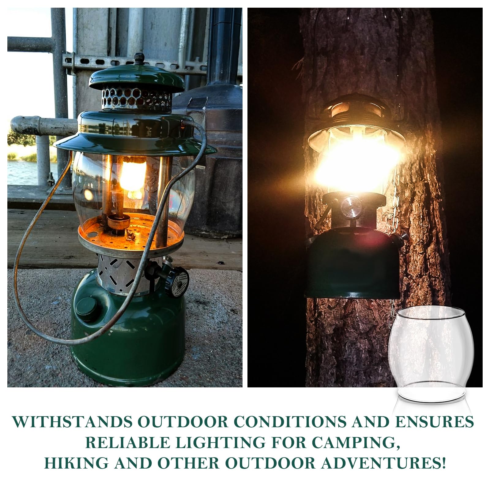 Amazon.com : Lantern Glass Replacement for Coleman 200a Globe