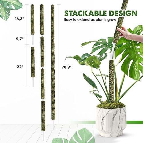 Miniatura 31 de DUSPRO - Paquete de 2 postes de musgo de malla plana para plantas trepadoras de monstera, poste apilable para plantas, musgo real, para plantas