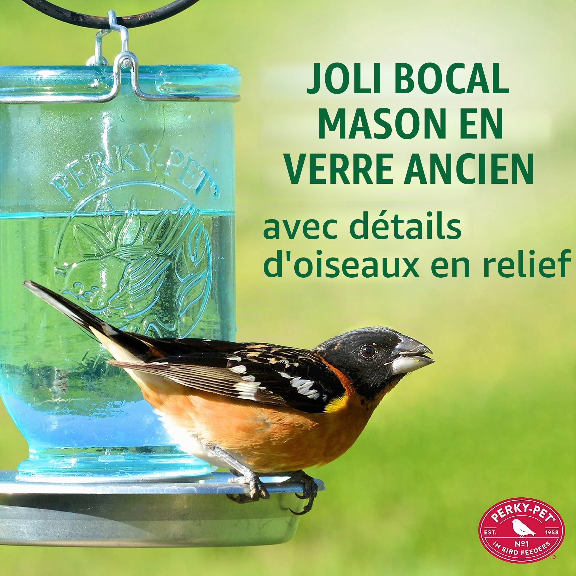 Perky-Pet Abreuvoir à oiseaux Bocal - Décoration en verre à suspendre dans le jardin - Facile à remplir - Capacité max. 1L d'eau #783