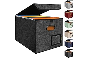 BALEINE Paper Filing Organizer: The Ultimate Solution for Office Document Management