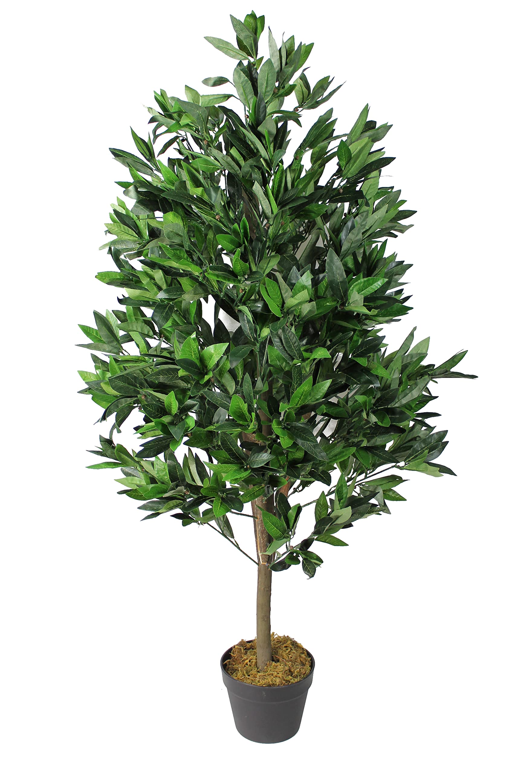 Amazon.de: Knstlicher Kirschlorbeer 120 cm mit Echtholzstamm und 1521  Bltter Kunstpflanze knstliche Pflanze wie echt Dekoration Laubbaum Hecke  Sichtschutz Kunstbaum