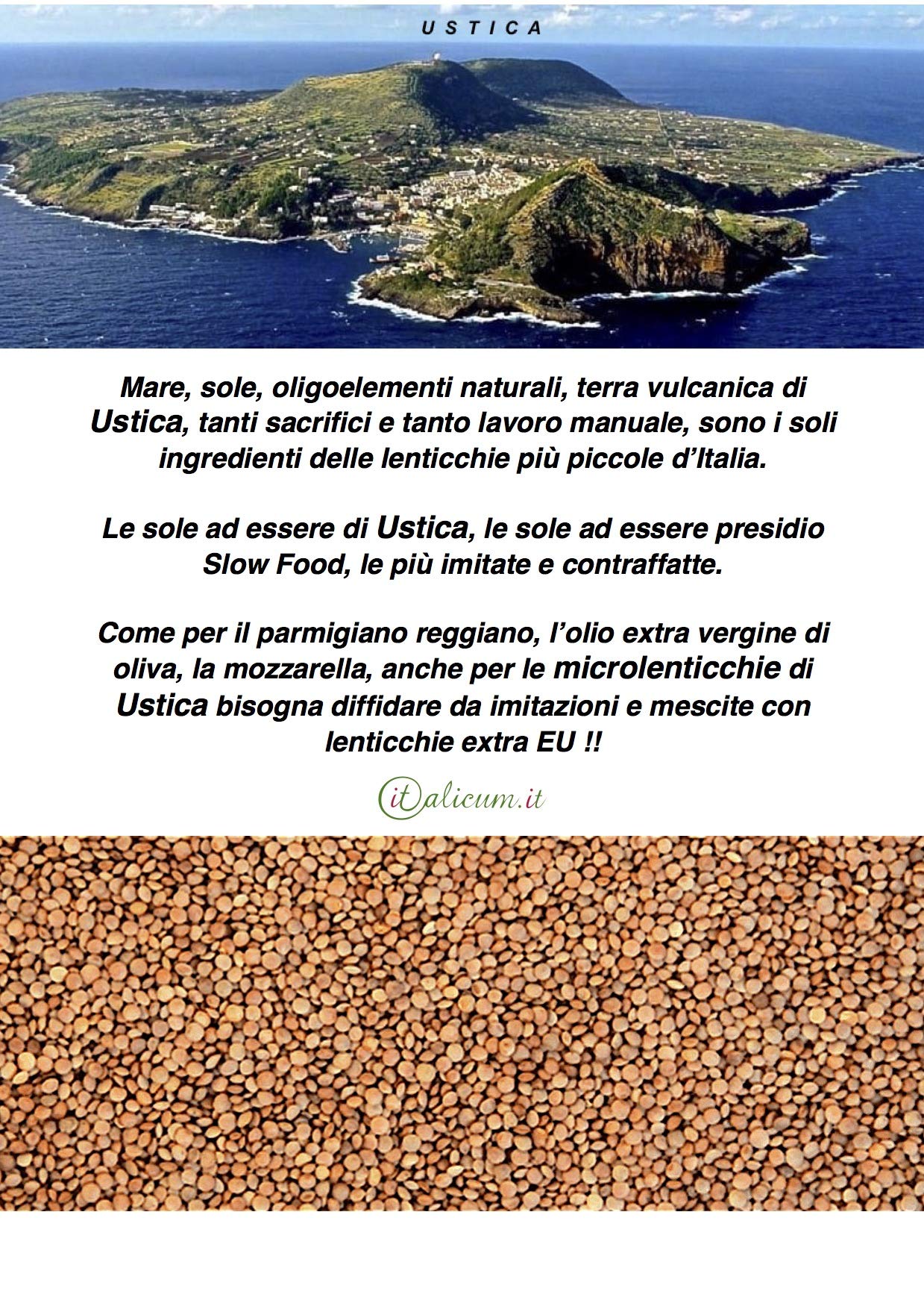 Lenticchie di Ustica Kg.1,80 (4 sacchetti da 450 gr.cadauno) Tenerissime