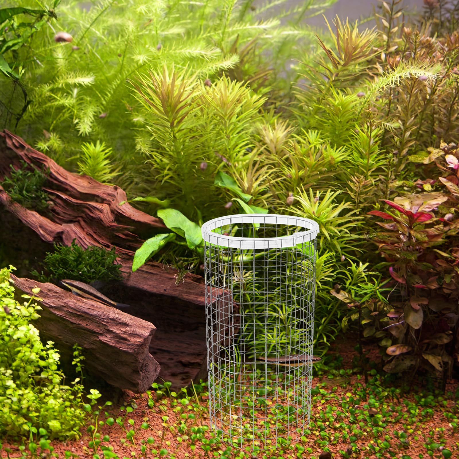 Alasum Rejilla de Cono de Desove para Acuarios de Hierro Plata, Fácil de Usar y Decorativa, Adecuado para Cría de Camarones y Peces Pequeños en Tanques de Reproducción