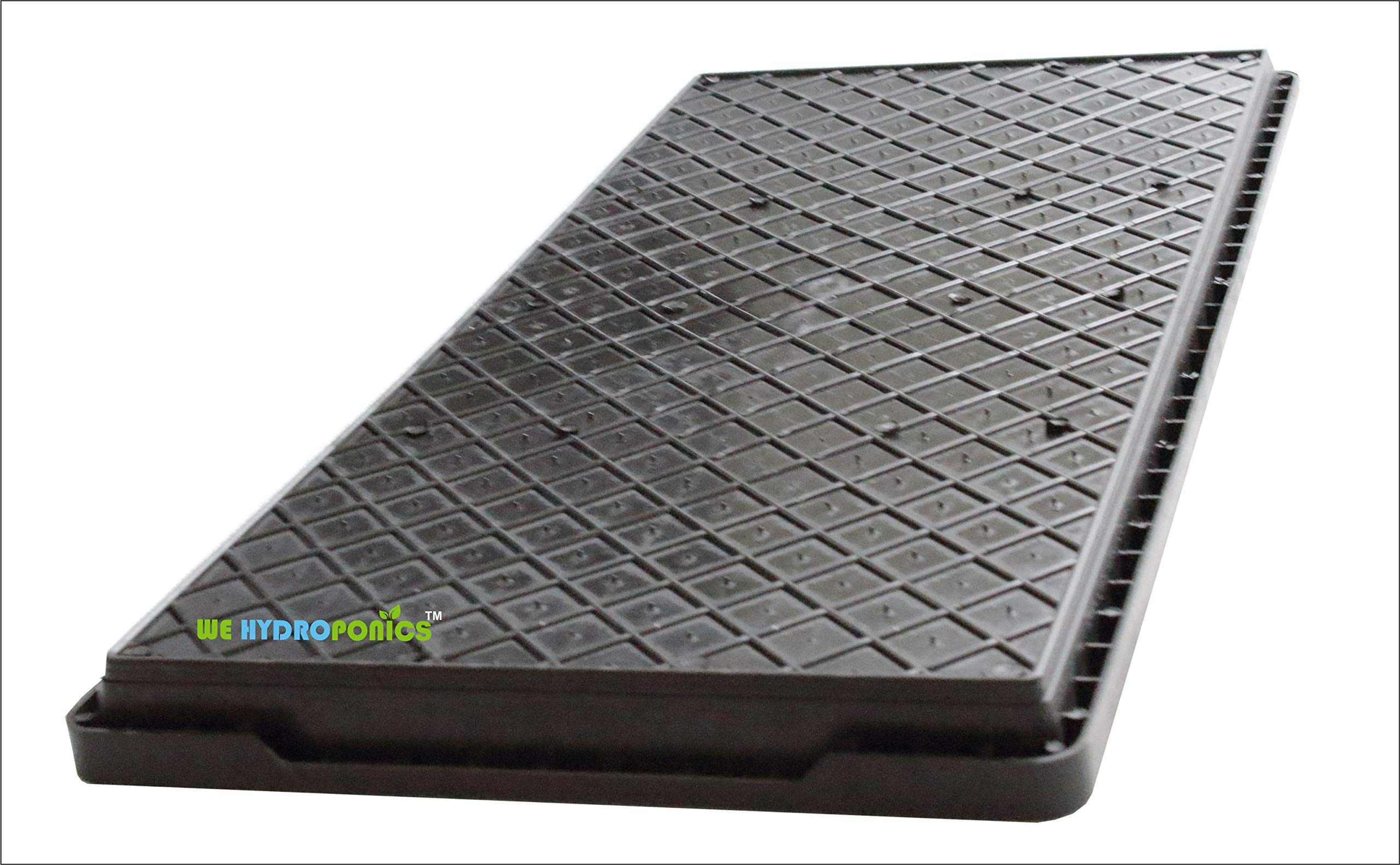 Wheat Grass Trays - Set of 20 for Microgreens -6 Wheat Grass Trays - Set of 20 for Microgreens -6