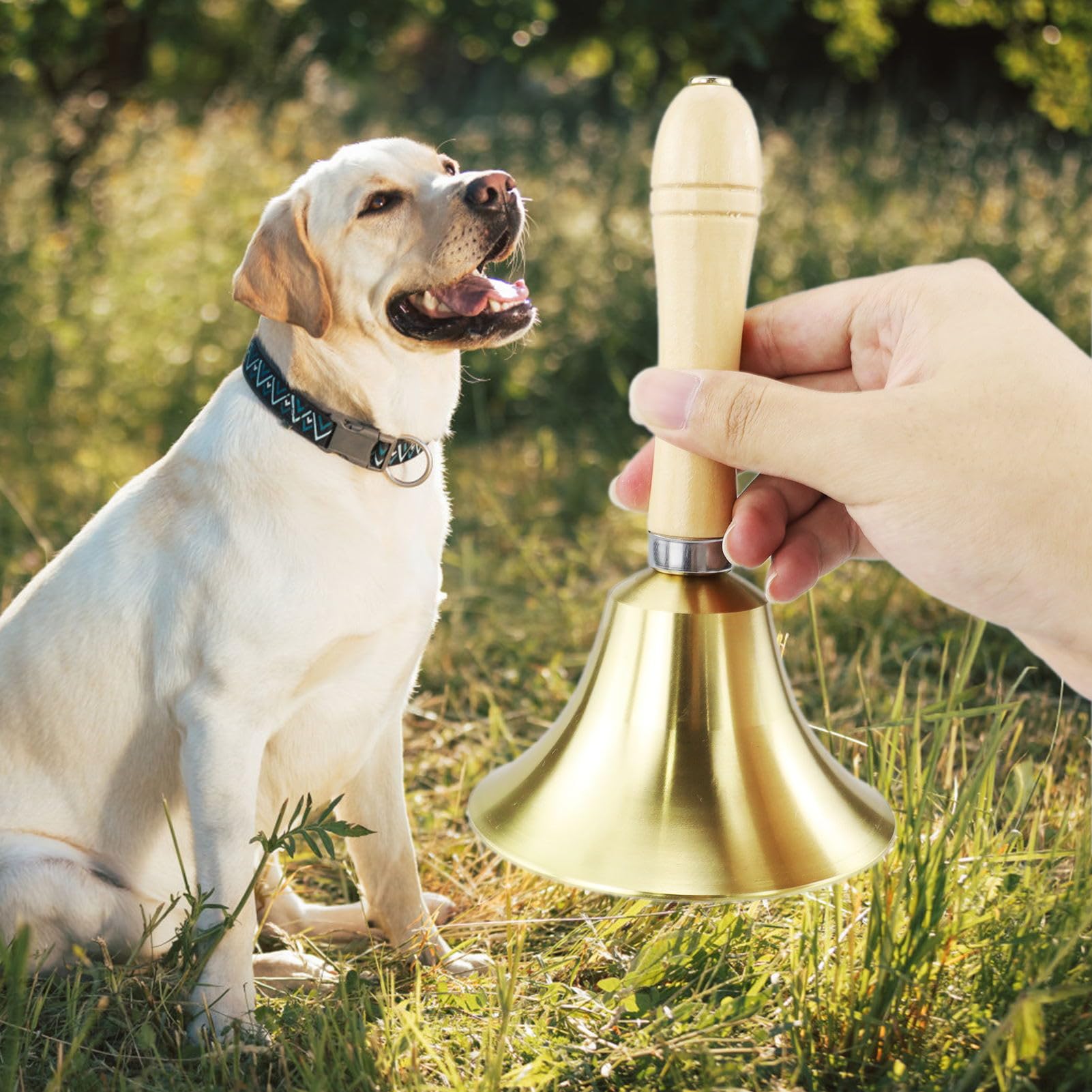 Campana In Ottone Con Manico Legno | 11cm Per Scuola, Chiesa, Matrimoni E Decorazione - Foto 3
