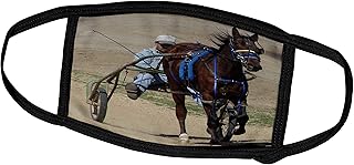 3dRose Face Cover Large, Harness Racing