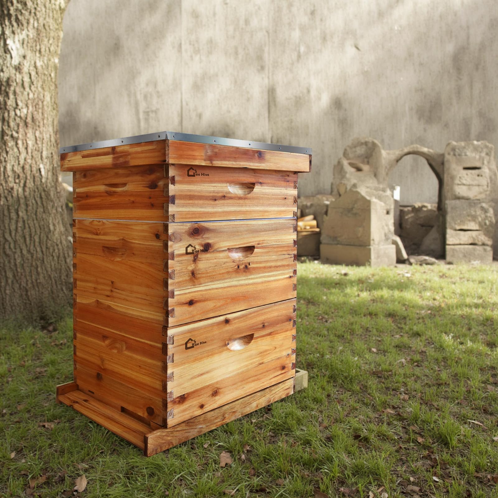 Garvee Kit de démarrage apiculture Langstroth 10 cadres – 2 hausses profondes, 1 moyenne – Cadres et fondations en cèdre enduits de cire d’abeille – Pour apiculteurs débutants et pros – Ruche