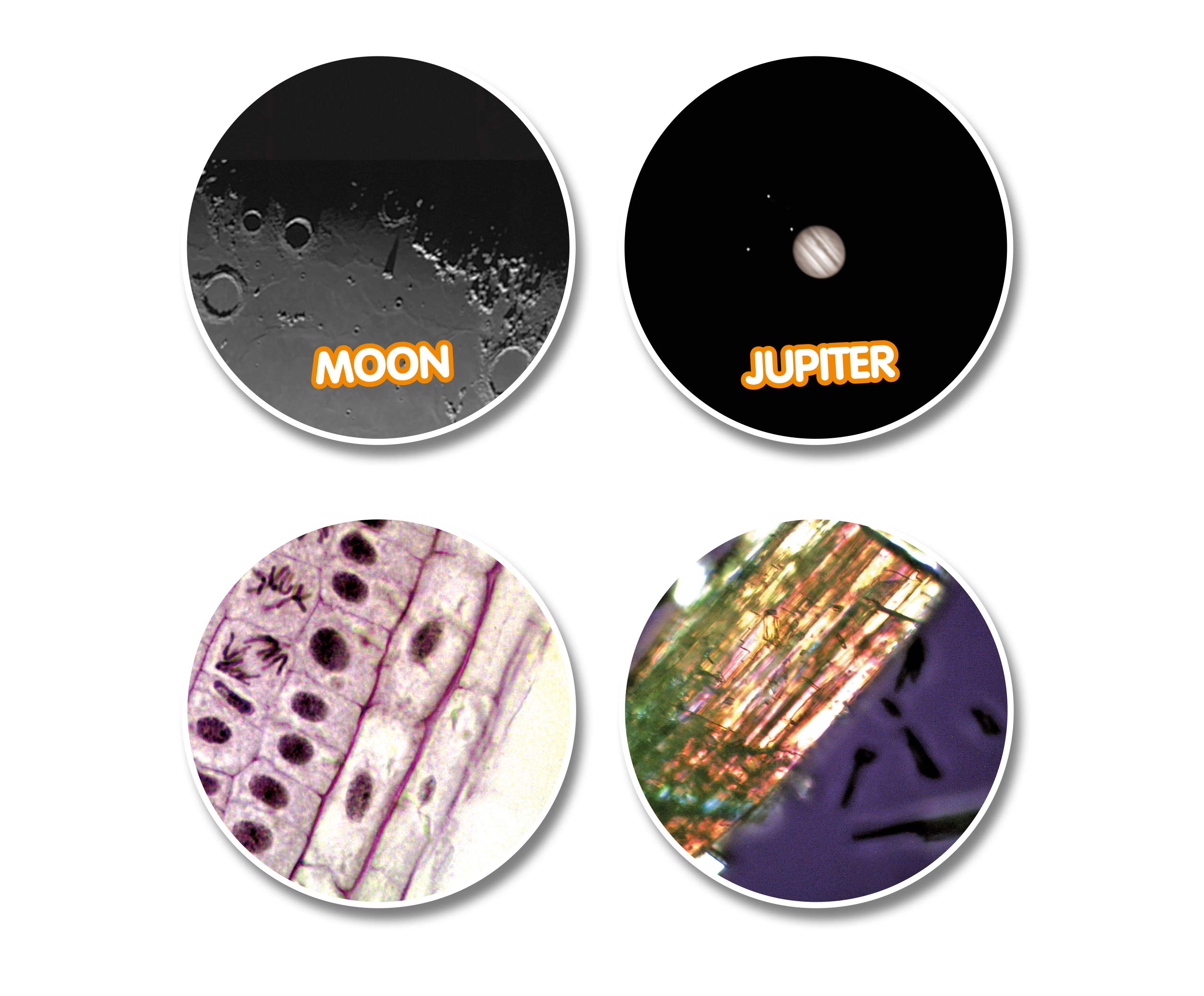National Geographic Set telescopico e microscopio per bambini e principianti con numerosi accessori