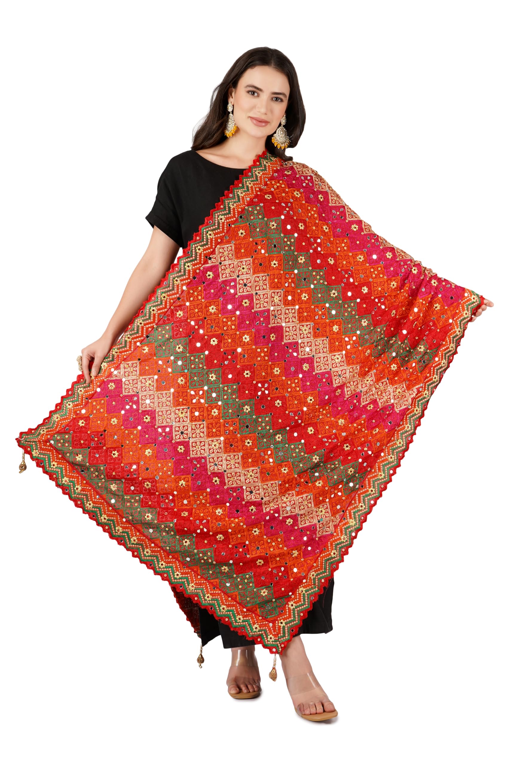 A R Silk DUPATTA HUB Chinnon Heavy Mirror Work,Fancy Lace and Fancy Latkan Phulkari,Designer and Weeding Multicolour Fancy Dupatta(ARS01134)-image-14