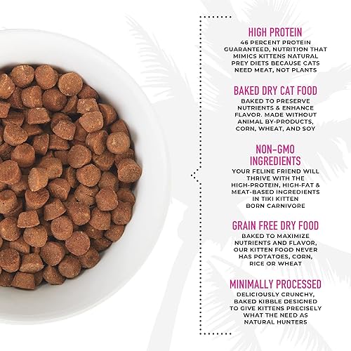 Miniatura 6 de Tiki Cat Born Carnivore Baby, alto en proteínas y sin granos, alimento seco completo y equilibrado para gatos para gatitos de 6 semanas en adelante,