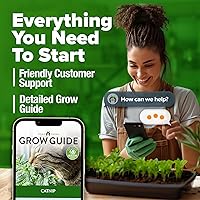 Vista 357 de HOME GROWN Semillas de diente de león para plantar 600 semillas de hierbas medicinales tradicionales (~ 0.01 oz) sin OMG cultivan hojas y flores