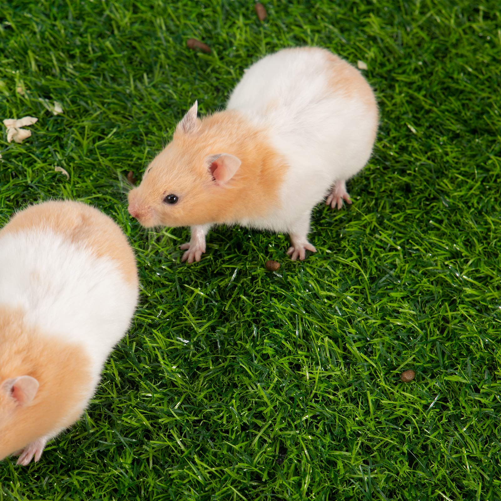 Snapklik.com : Aulock 2 Pcs Artificial Grass Guinea Pig Pee Pads- 15.7 ... - Artificial Grass For Guinea Pigs