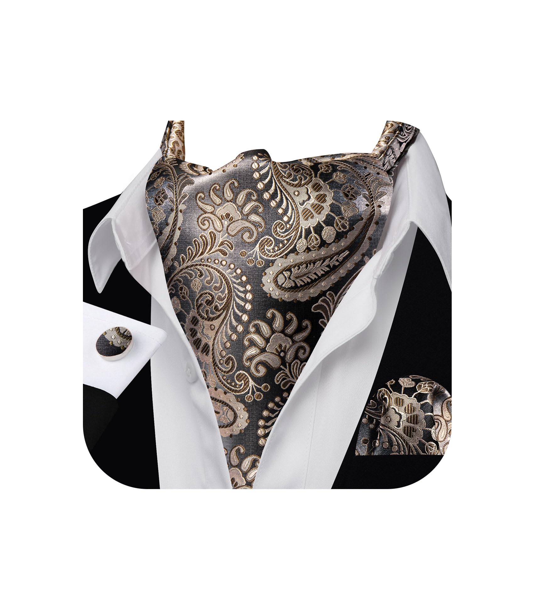 Barry.Wang Ascot for Men Cravat Tie Sets Paisley Scarf Self Tie Necktie
