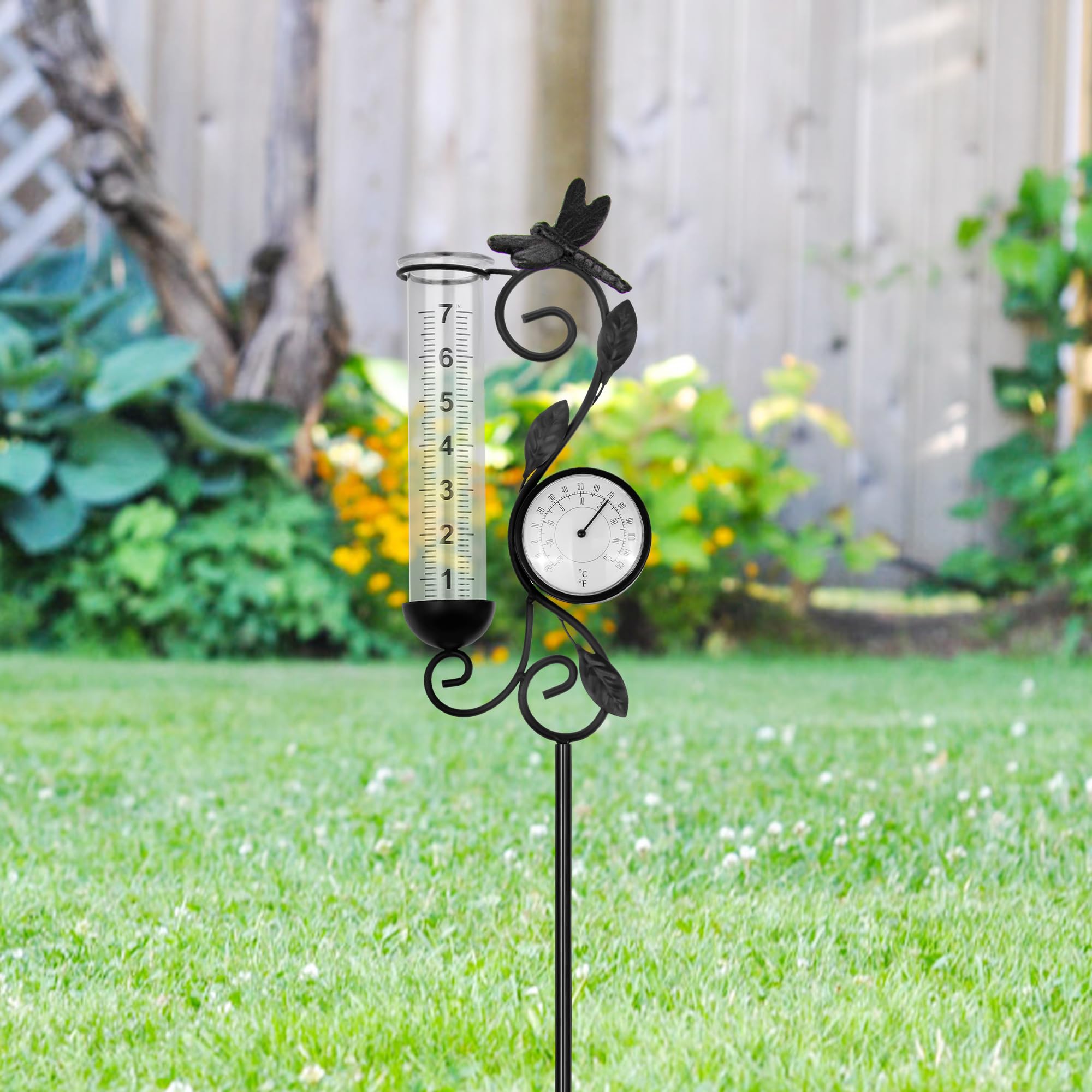 Pluviometro da giardino con termometro, paletto decorativo in metallo, motivo libellula, nero