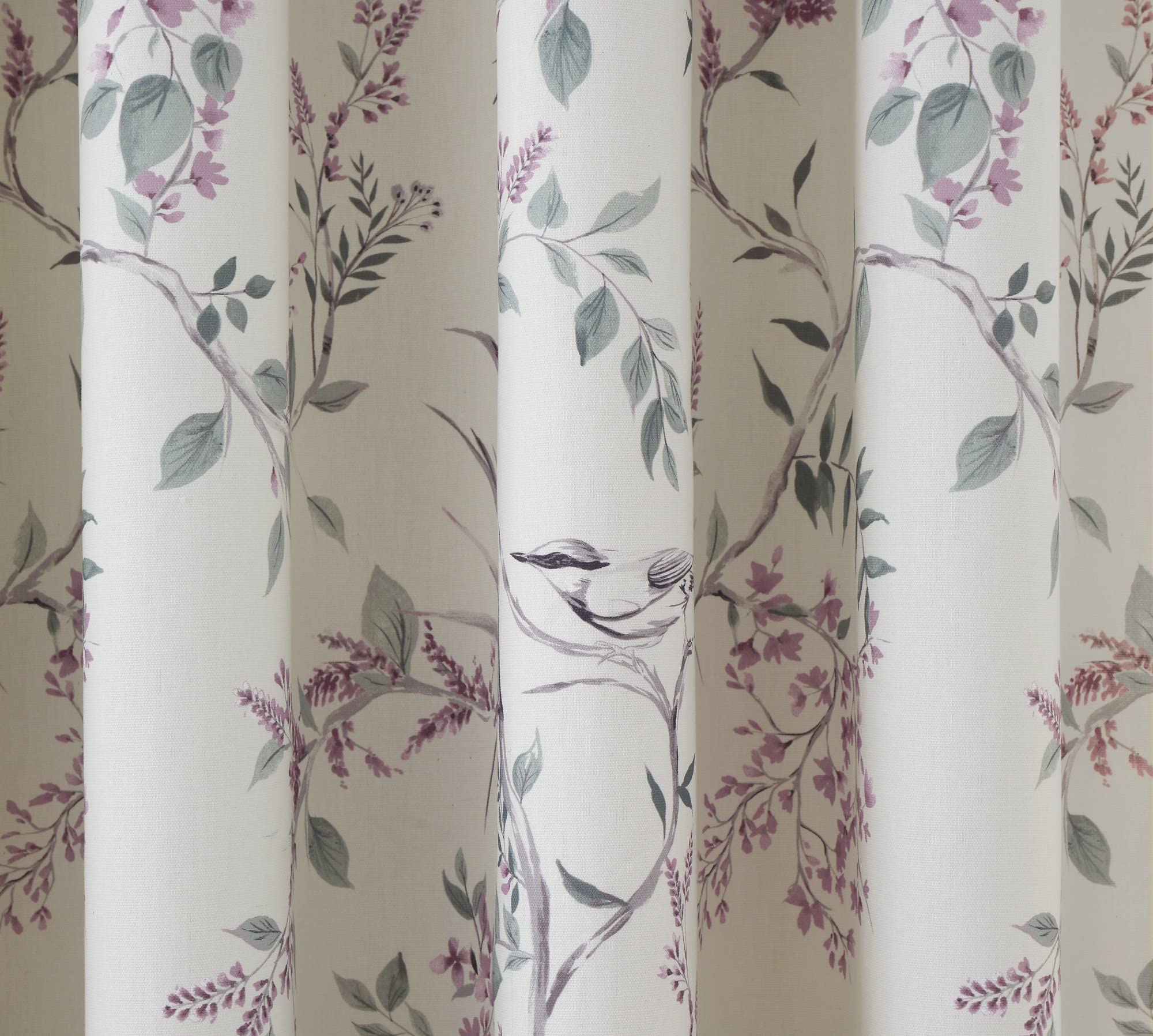 Dreams & Drapes Jazmine Paire de Rideaux plissés 100% Coton entièrement doublés avec embrasses 168 x 137 cm (l x H)