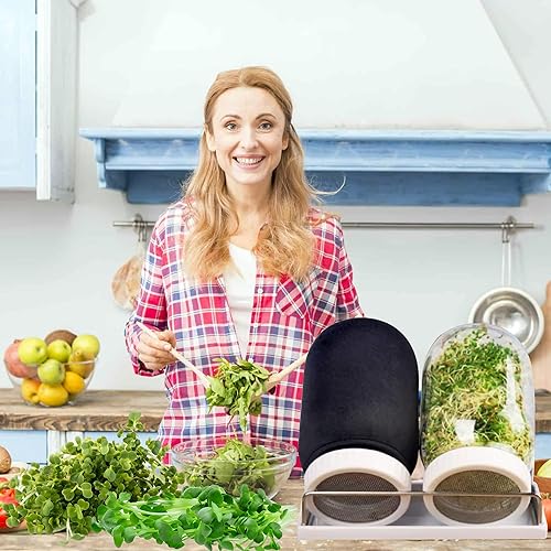 Miniatura 5 de Kit de germinación de semillas, 2 tarros grandes de boca ancha con tapas de brote, mangas opacas, bandeja de drenaje, soporte de acero inoxidable,