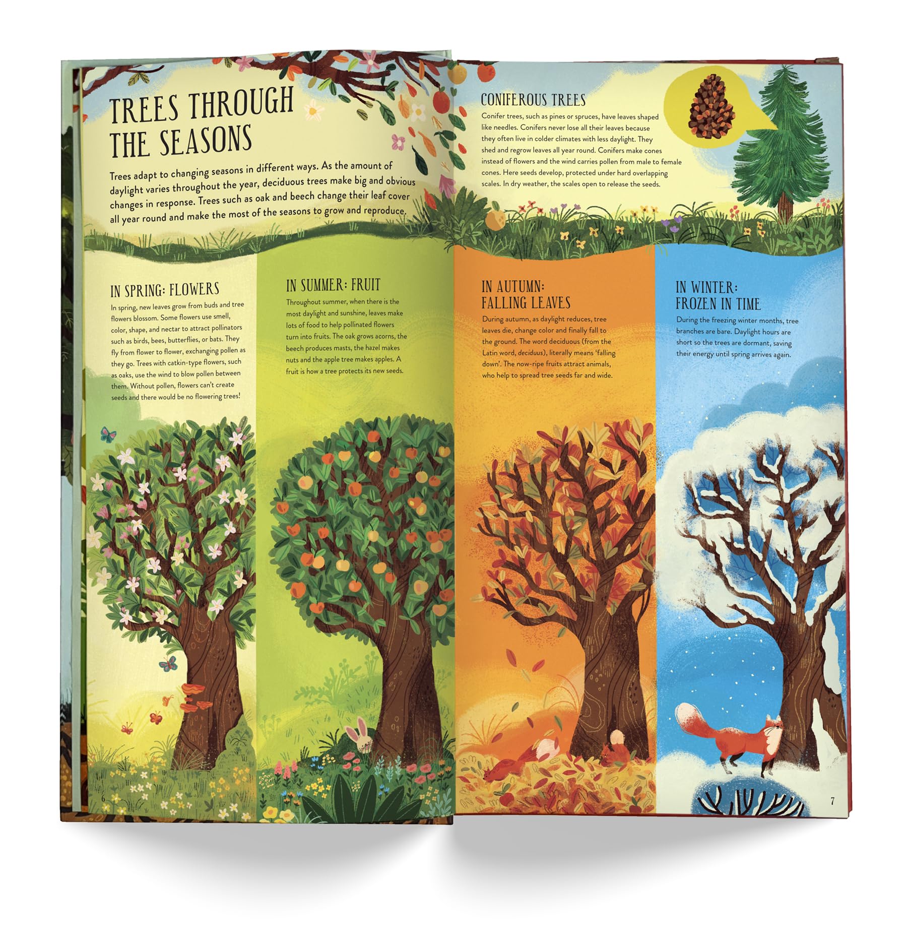 Make and Play: Build A Tree: Build a 30cm Oak Tree! Includes a 32-page Book and 40+ Model Pieces
